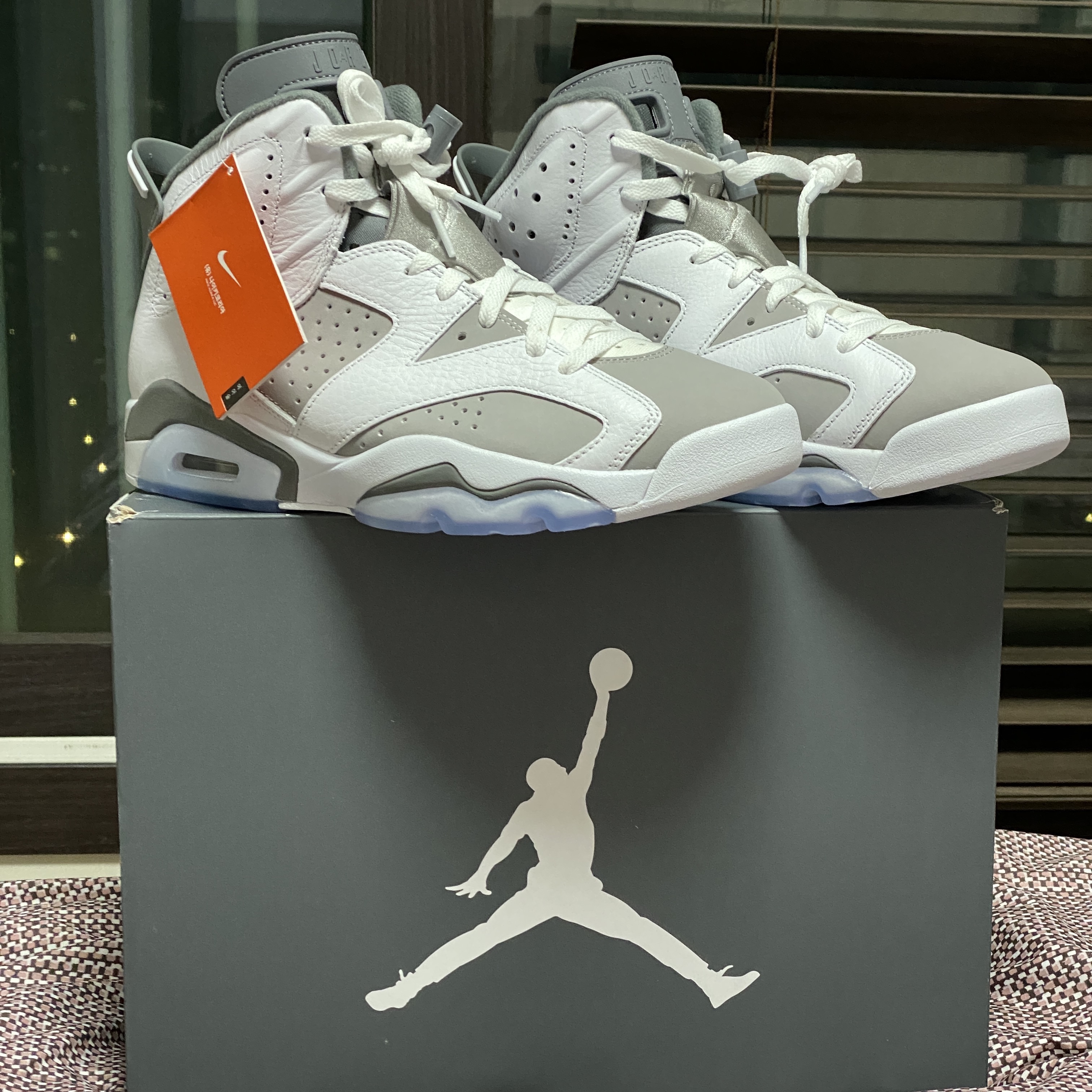 Jordan 6 Retro Cool Grey 착용 스타일 - 1