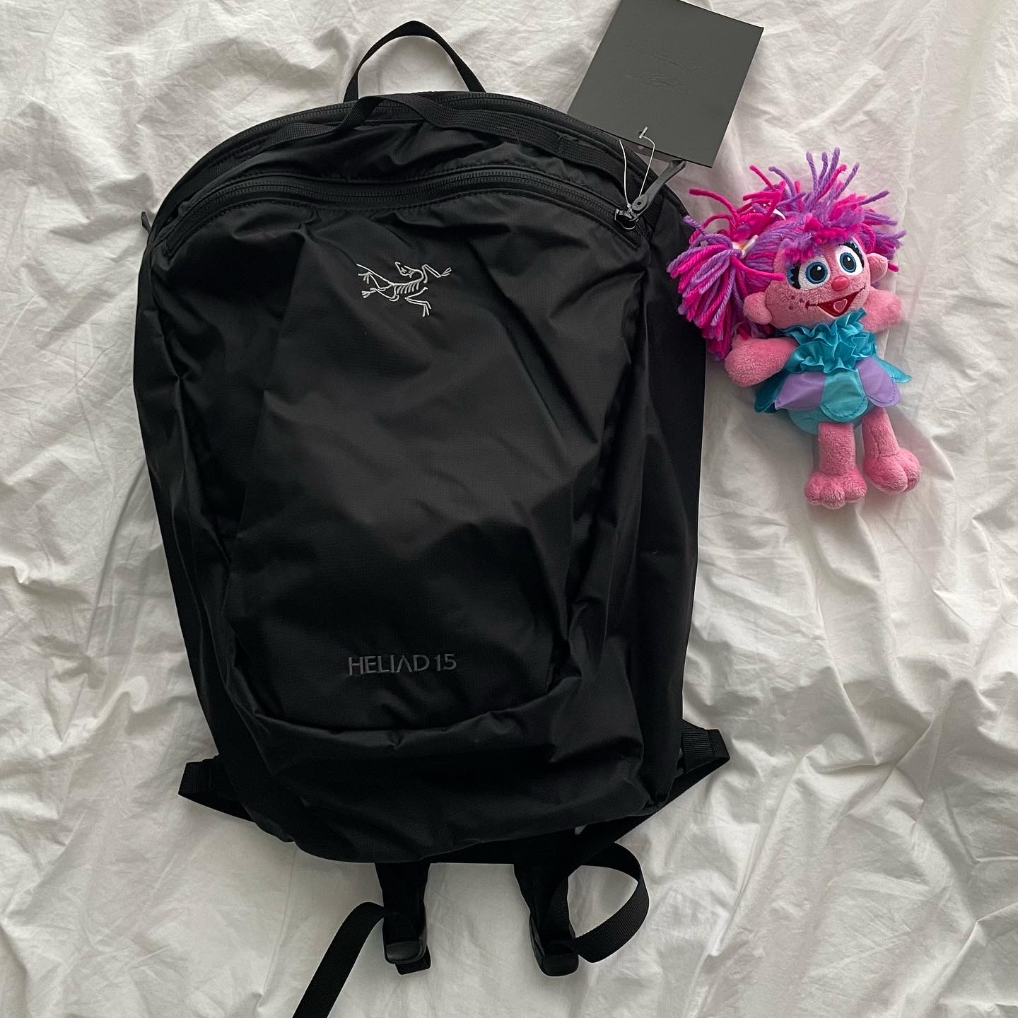 Arc'teryx Heliad 15 Backpack Black 착용 스타일