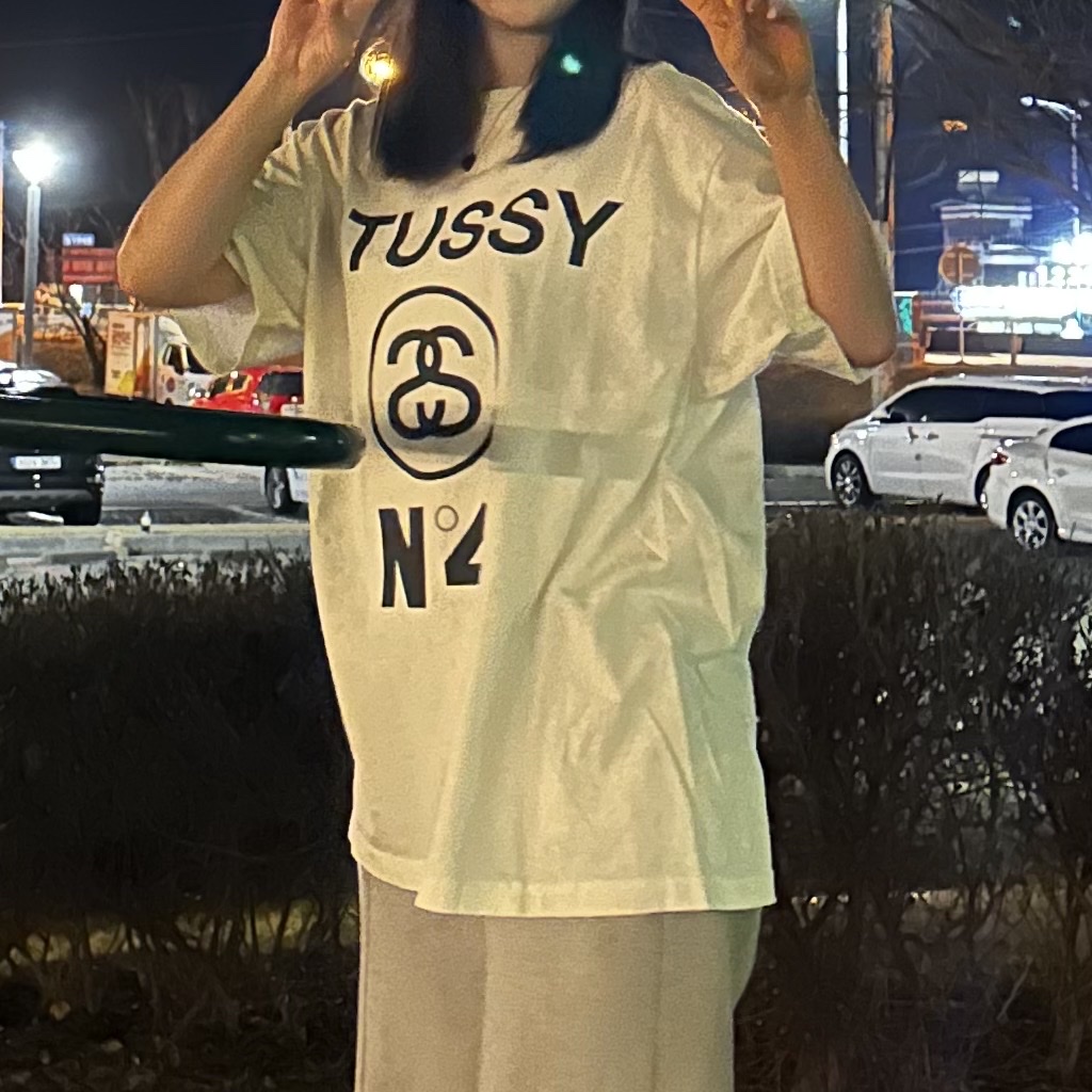 Stussy Pigment Dyed Stussy No.4 T-Shirt Natural 착용 스타일