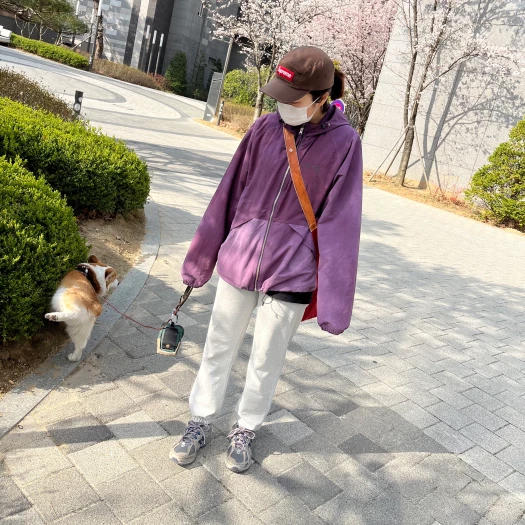 스타일 카드