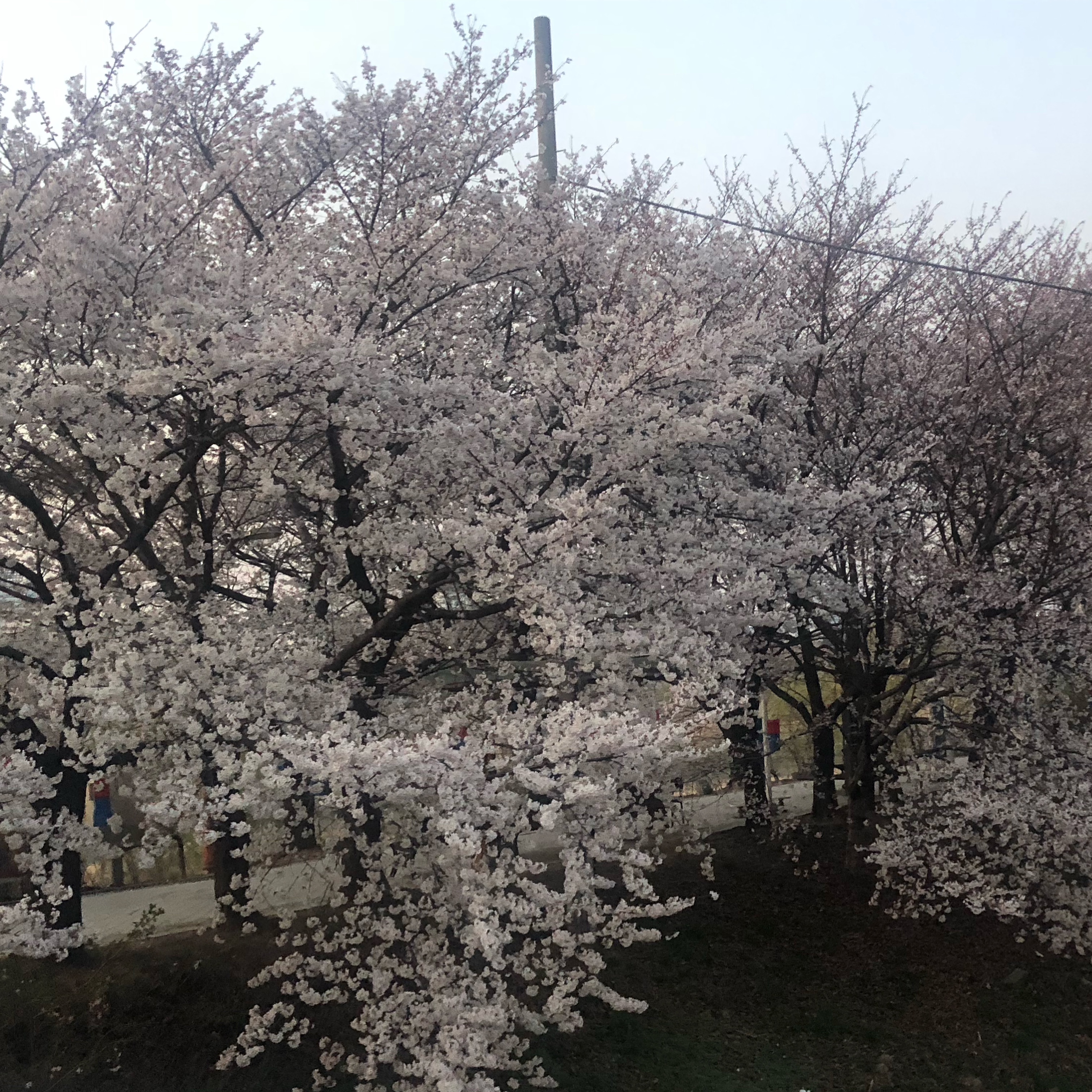 bluesky761님의 스타일