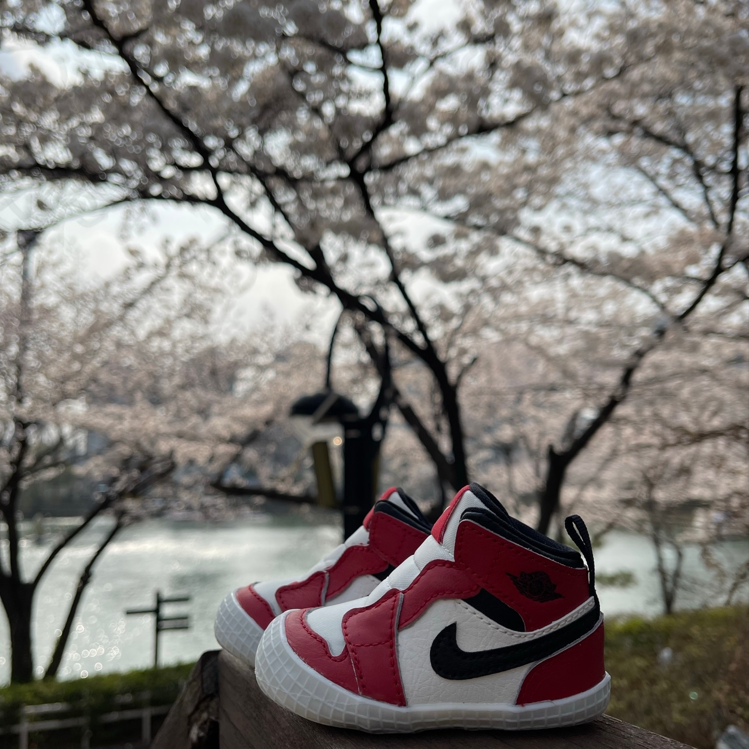 (CB) Jordan 1 Crib Bootie White Varsity Red, Nike x Tiffany & Co. Air Force 1 Low SP 1837 착용 스타일 - 1