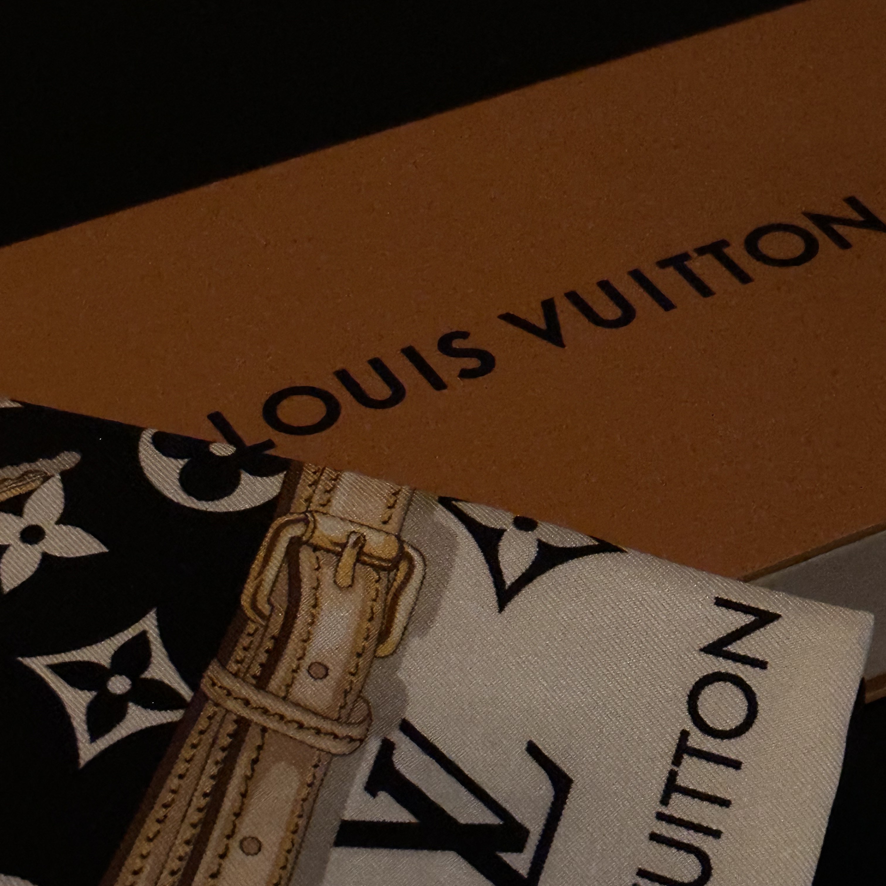 (W) Louis Vuitton Monogram Confidential Bandeau Black 착용 스타일 - 2