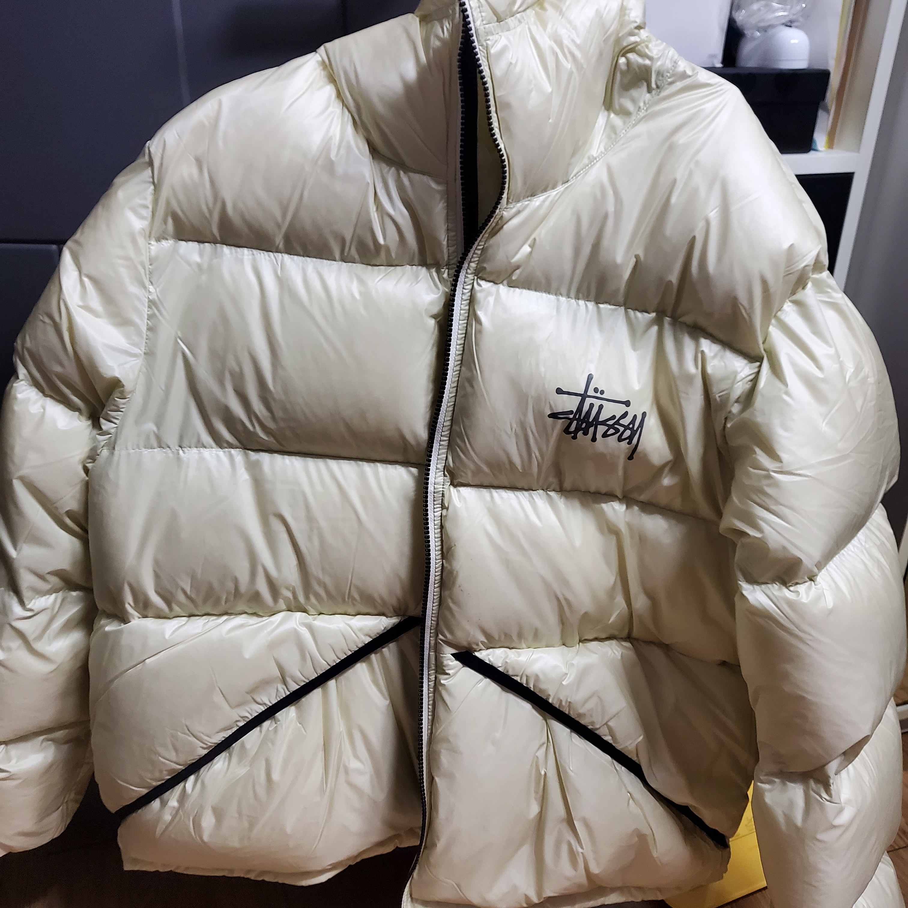 Stussy Micro Ripstop Down Parka Bone 착용 스타일