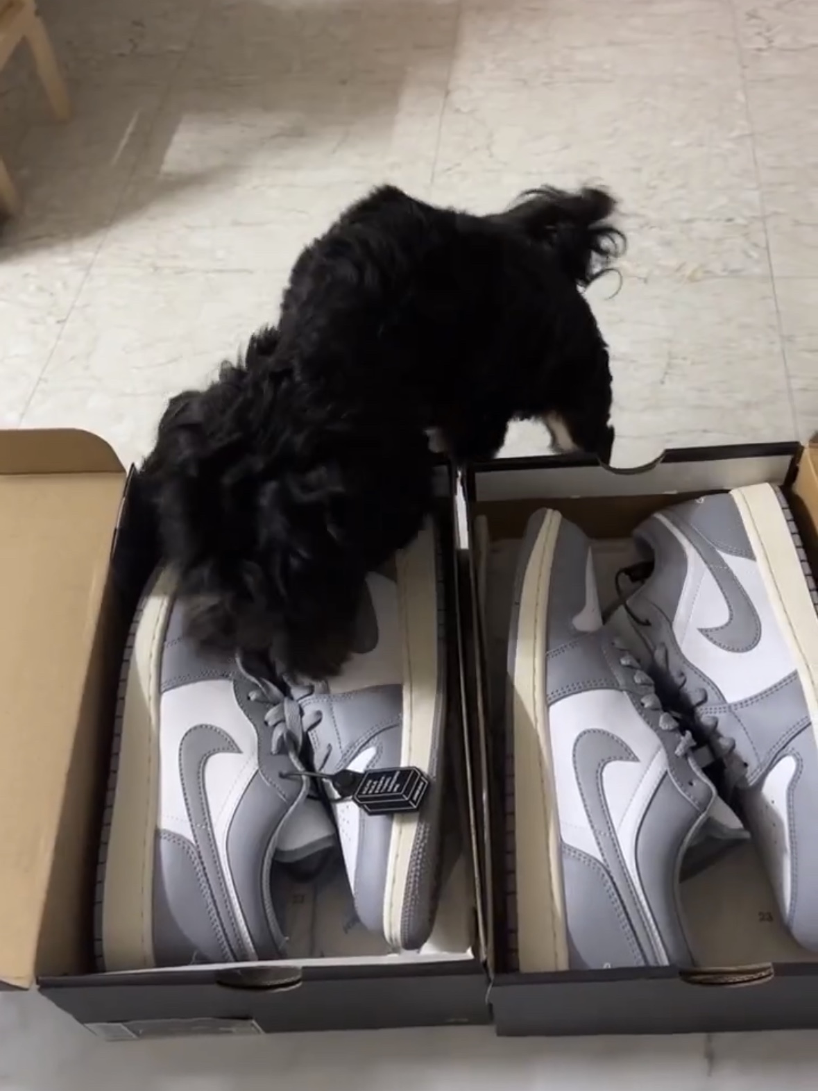 (GS) Jordan 1 Low Stealth and White, Jordan 1 Low Stealth and White 착용 스타일 - 2
