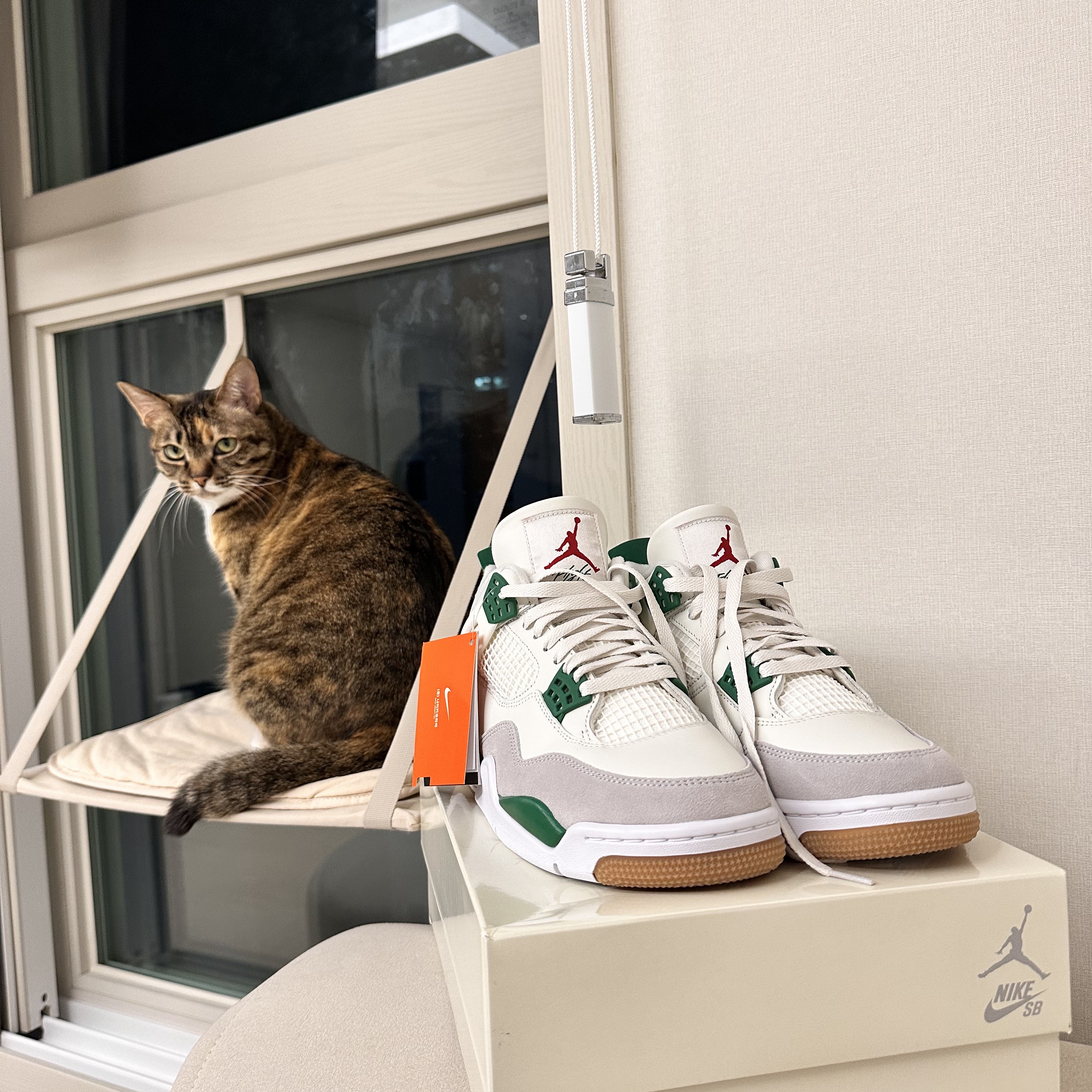 Jordan 4 x Nike SB Retro SP Pine Green 착용 스타일