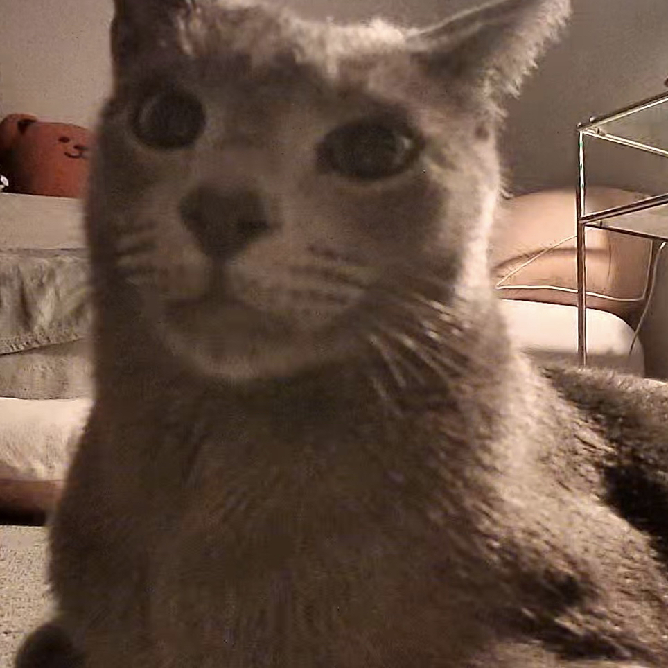 관심 유저 프로필 이미지