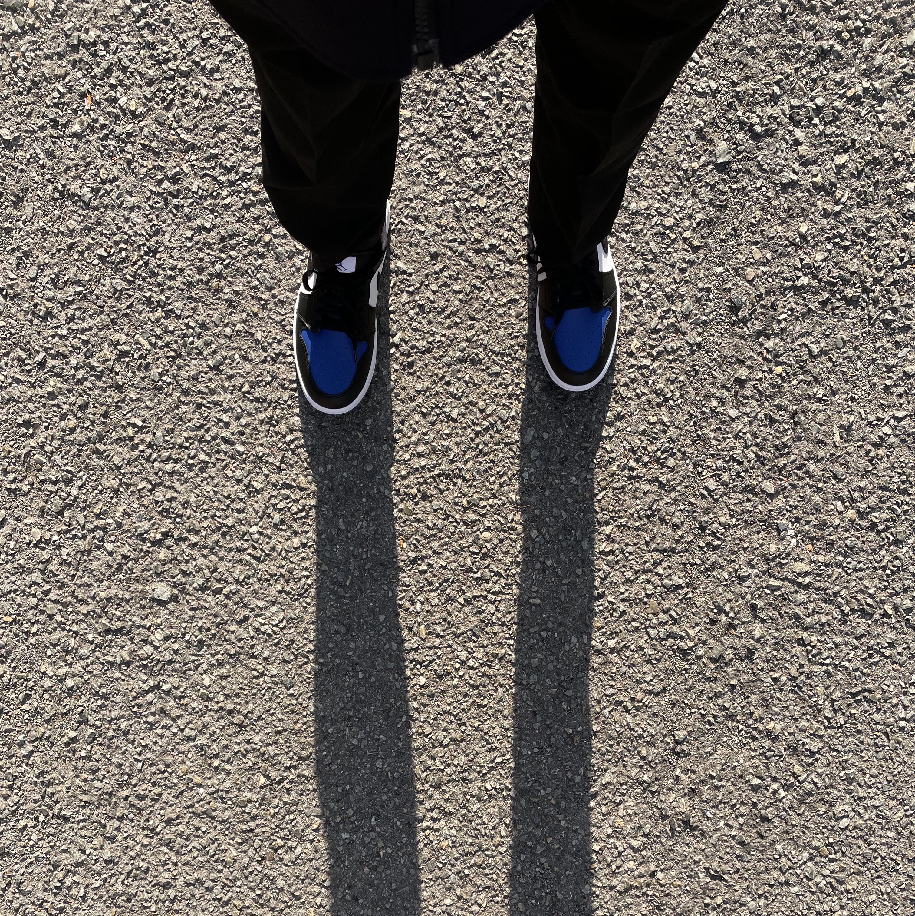 Jordan 1 Low Golf Sport Royal 착용 스타일