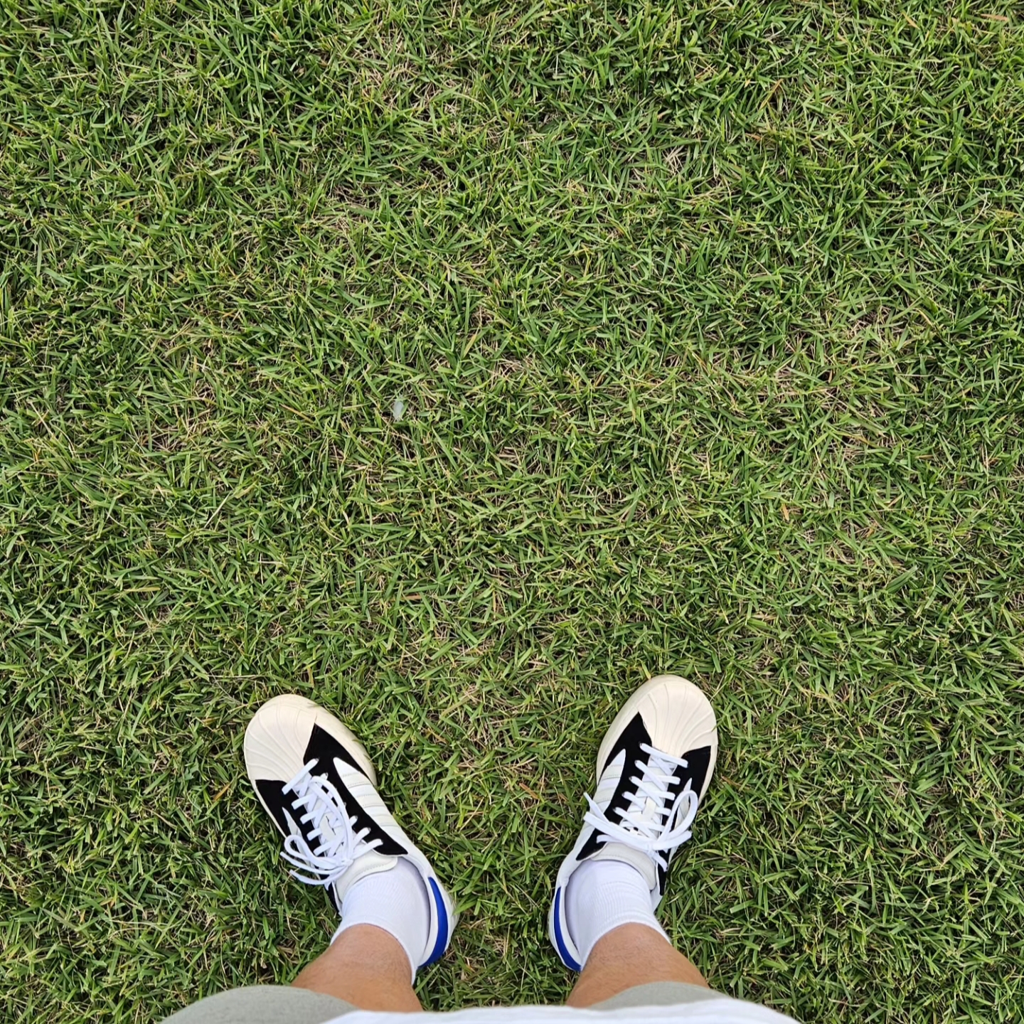Y-3 Yohji Star Cloud White Bold Blue 착용 스타일