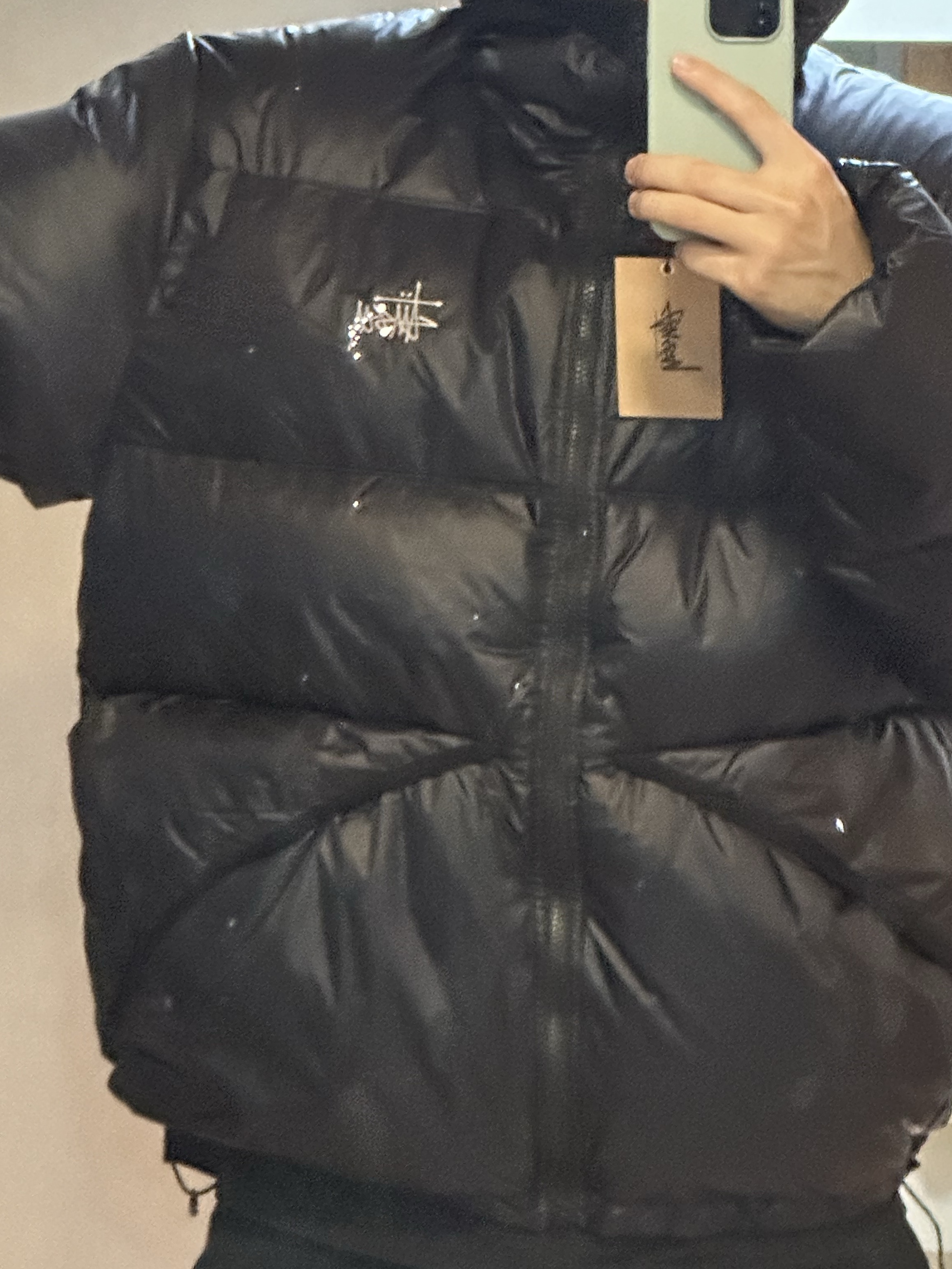 Stussy Down Parka Micro Ripstop Phantom Black 착용 스타일 - 2