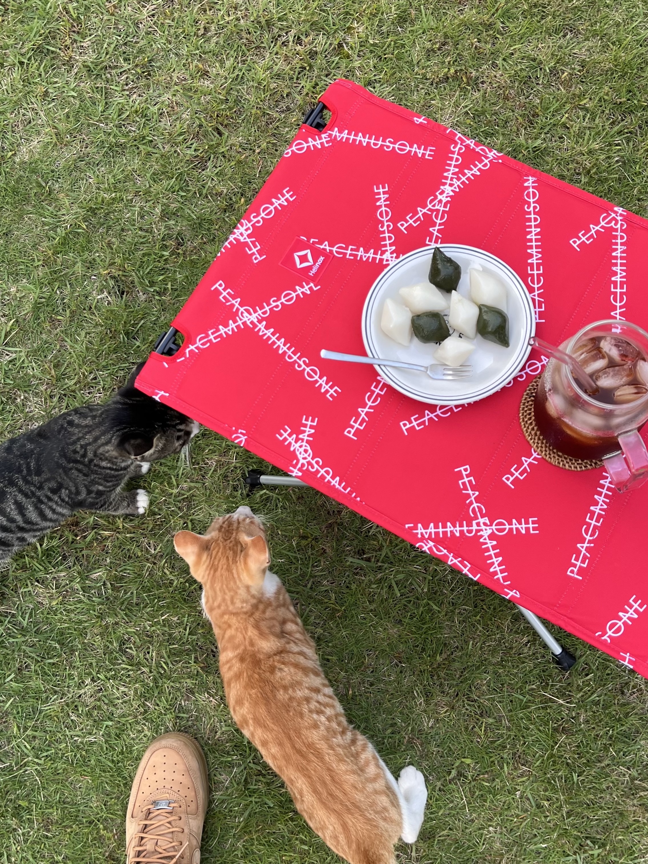 Helinox x Peaceminusone Table One Hard Top Red - Helinox Japan Exclusive 착용 스타일 - 1