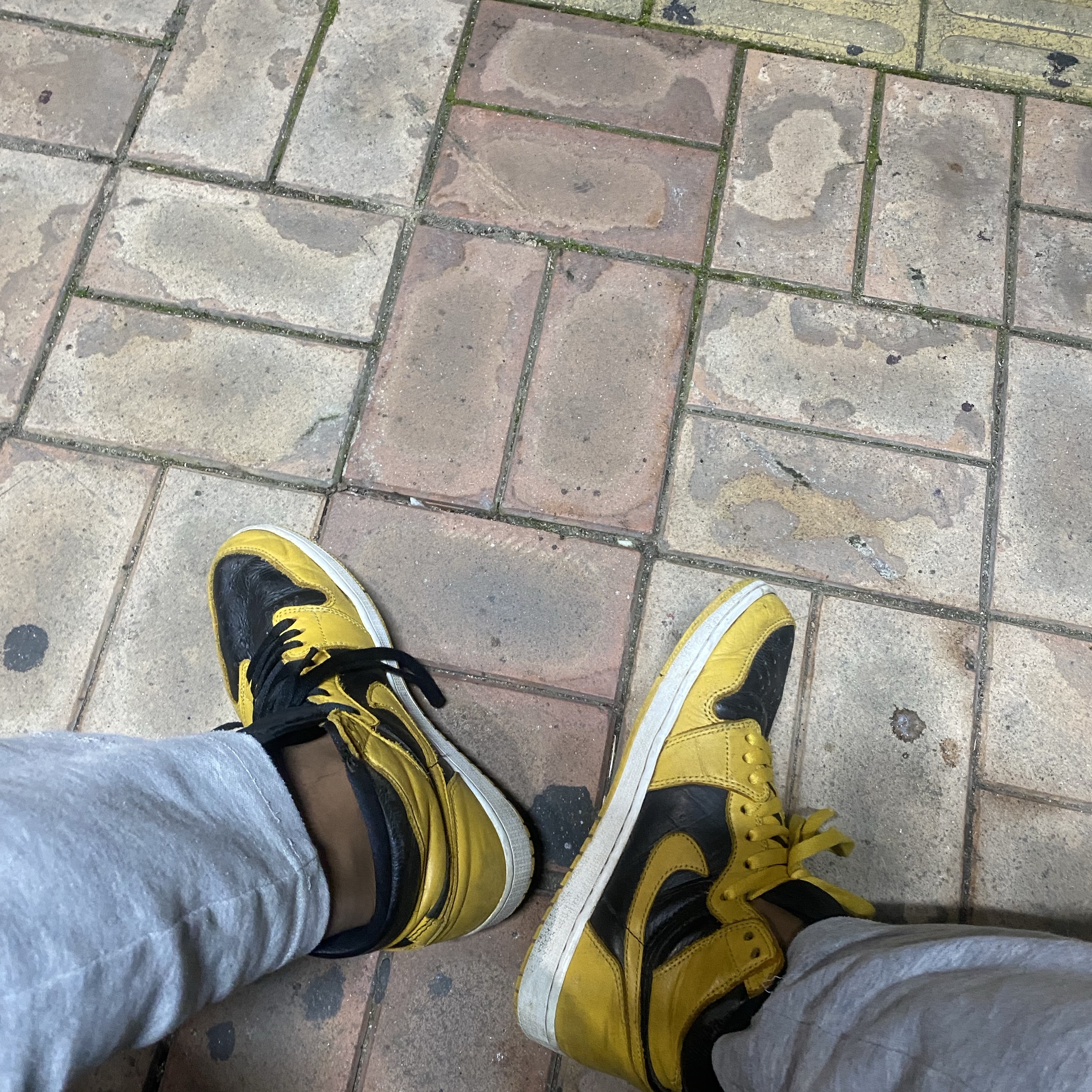 sk01049264578님의 스타일