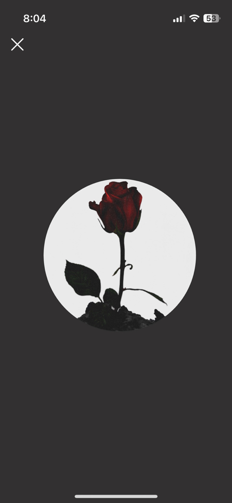KREAM 프로필 이미지