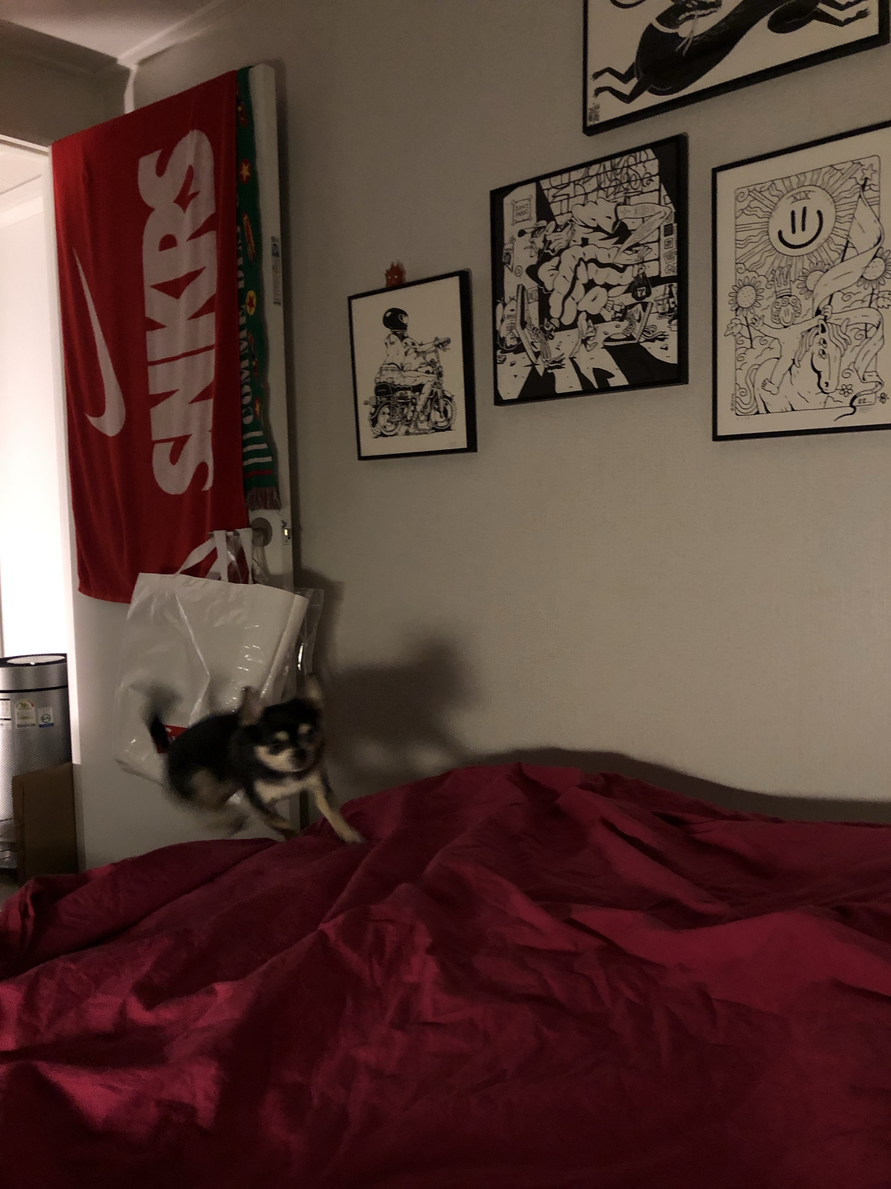 Stussy x Tekla Percale Duvet Cover Berry (230x235cm) 착용 스타일