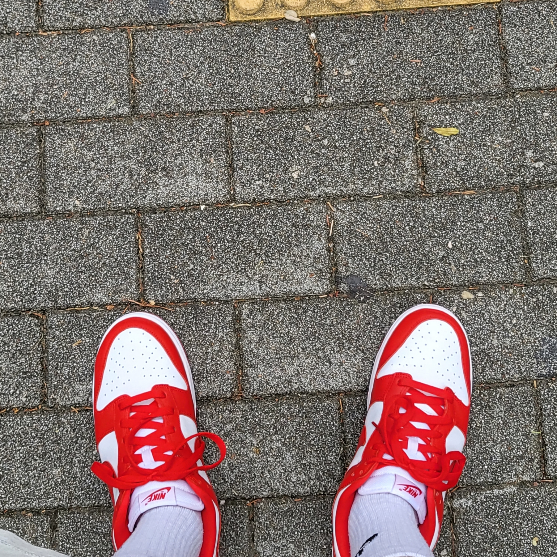 Nike Dunk Low SP White and University Red 2023 착용 스타일 - 1