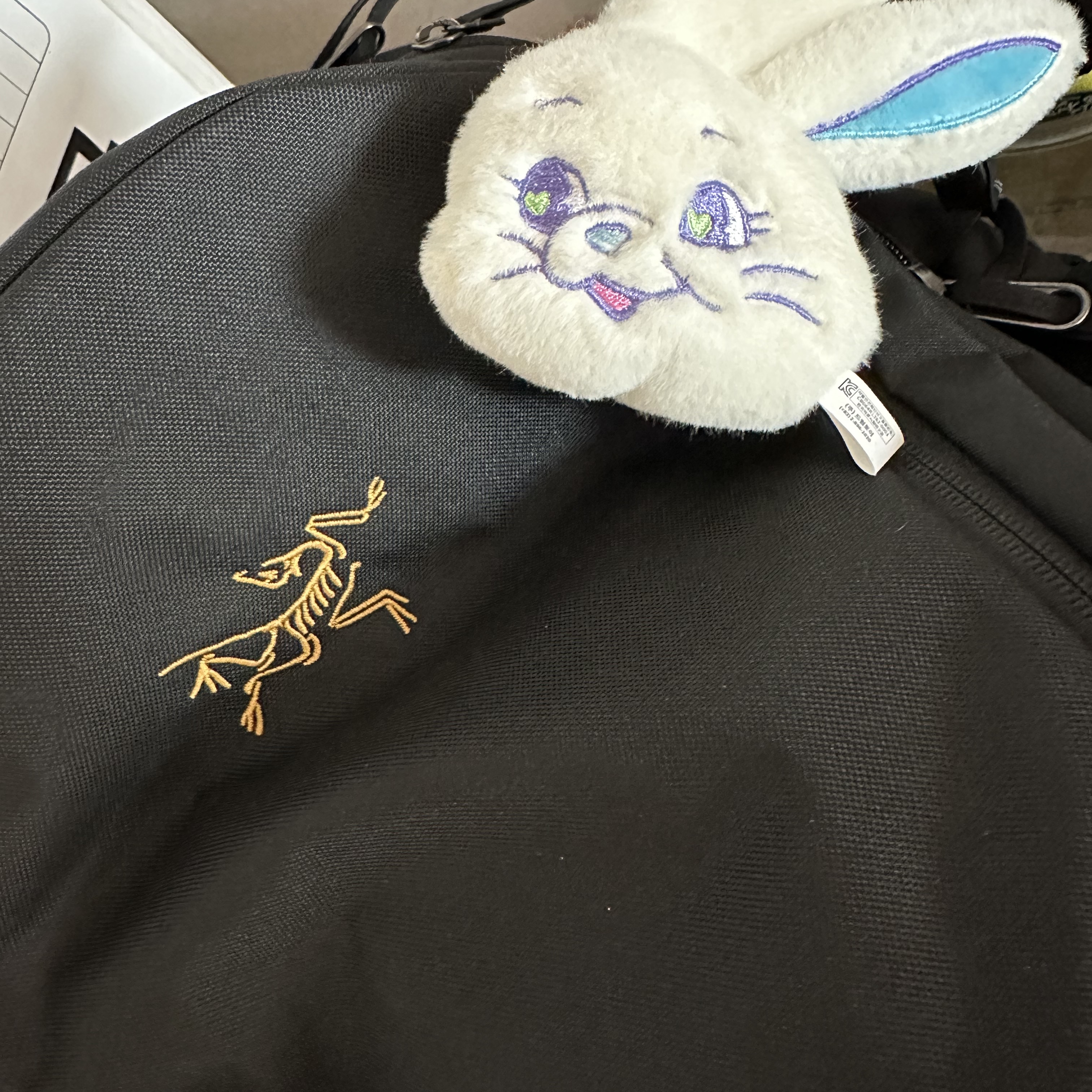 Arc'teryx Mantis 26 Backpack Black, NewJeans Tokki Merchandise Fluffy Keyring White 착용 스타일