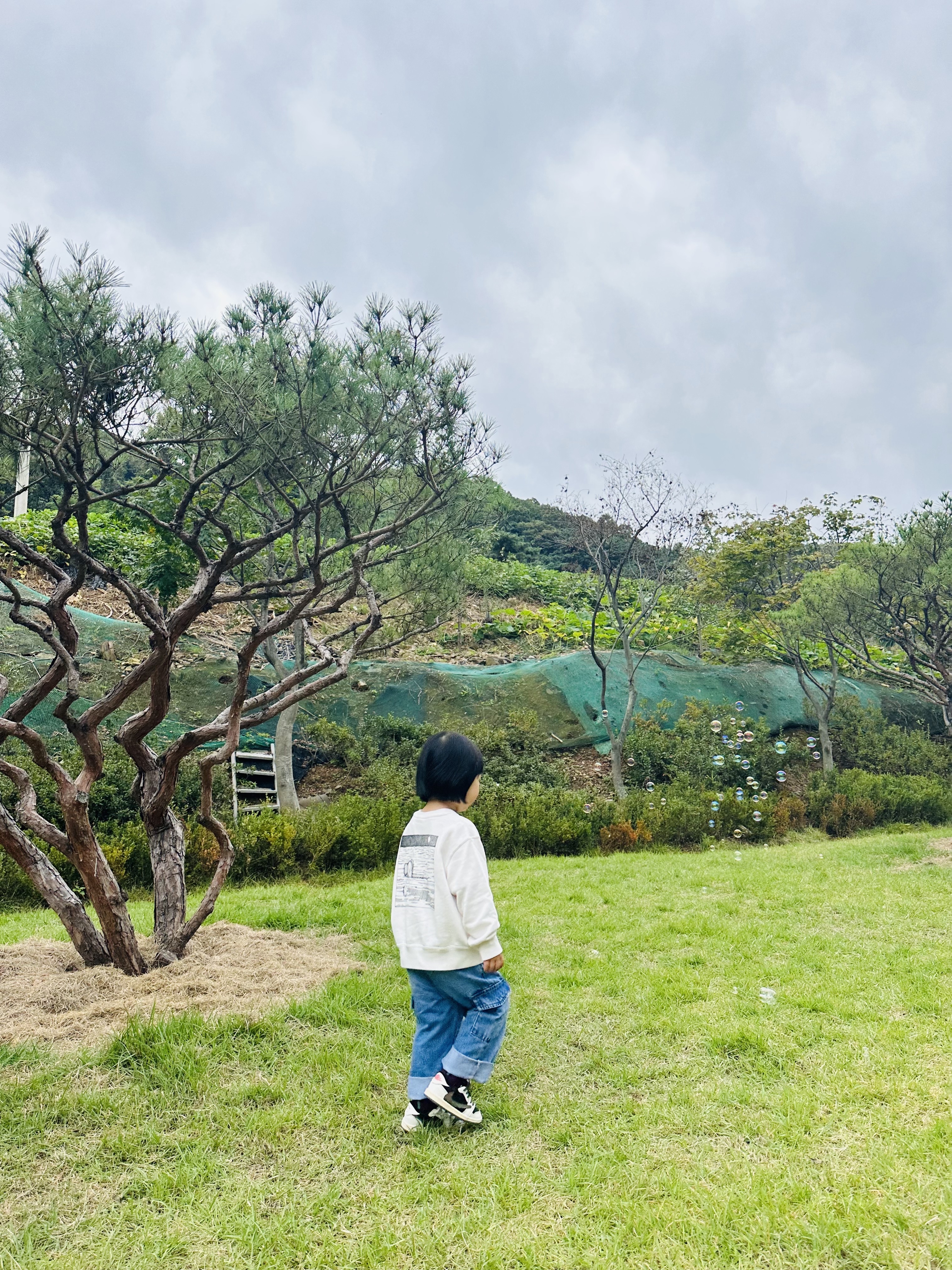 (Kids) Uniqlo UT x Kaws Long Sleeve Sweatshirt Off White, (TD) Jordan 1 x Travis Scott Retro Low OG SP Medium Olive 착용 스타일 - 3