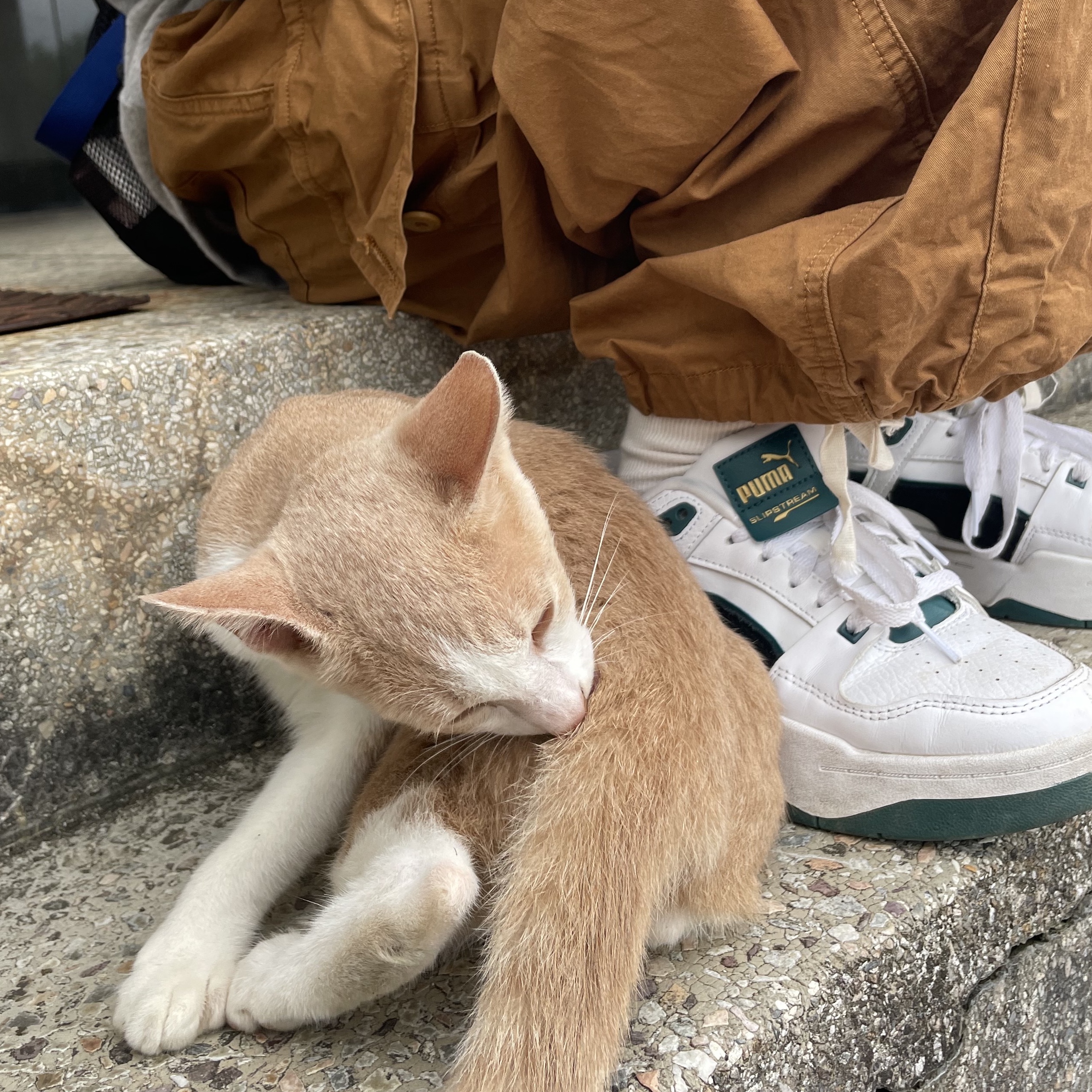 KREAM 스타일 - 1