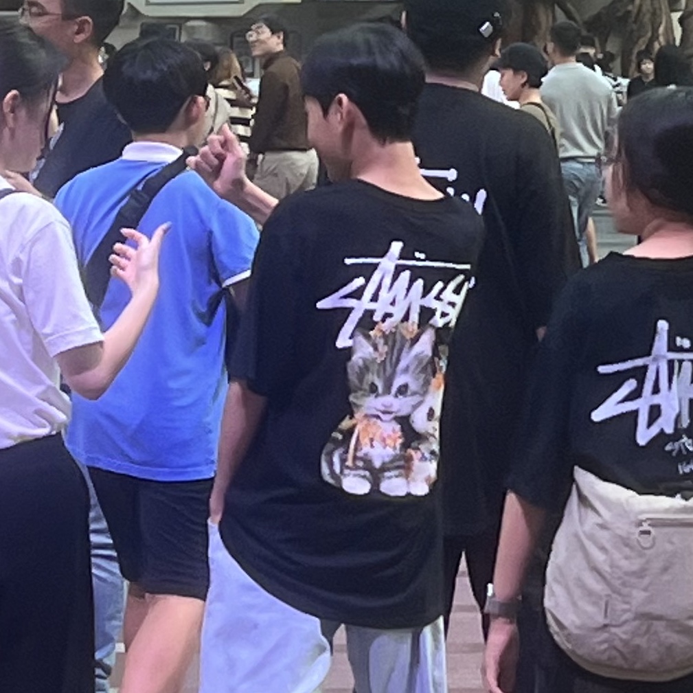 Stussy Kittens T-Shirt Black 착용 스타일