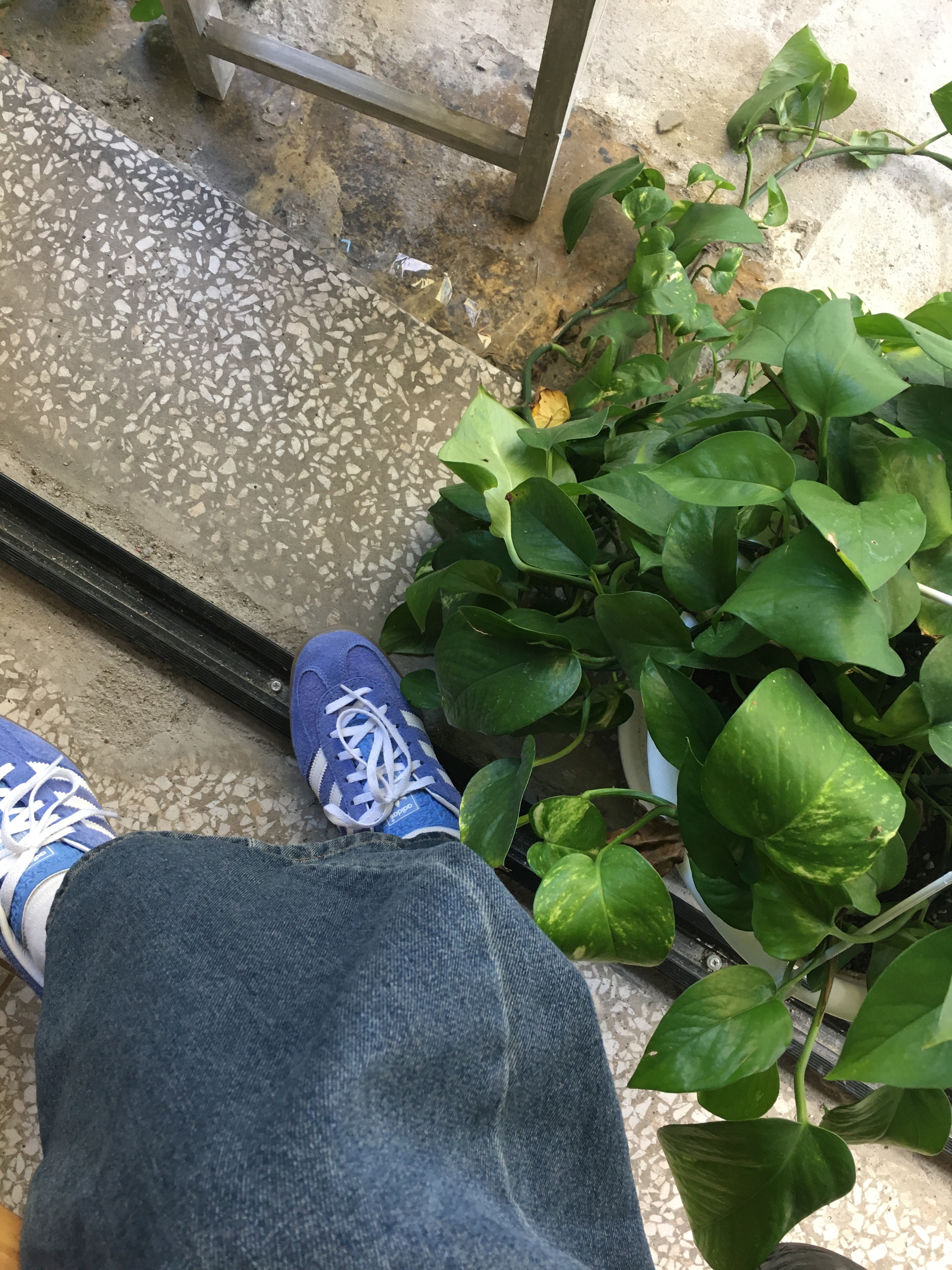 (W) Adidas Gazelle Indoor Blue Fusion Cloud White, Heritage Floss Crest Nylon Ripstop Washer Cap Black 착용 스타일 - 2