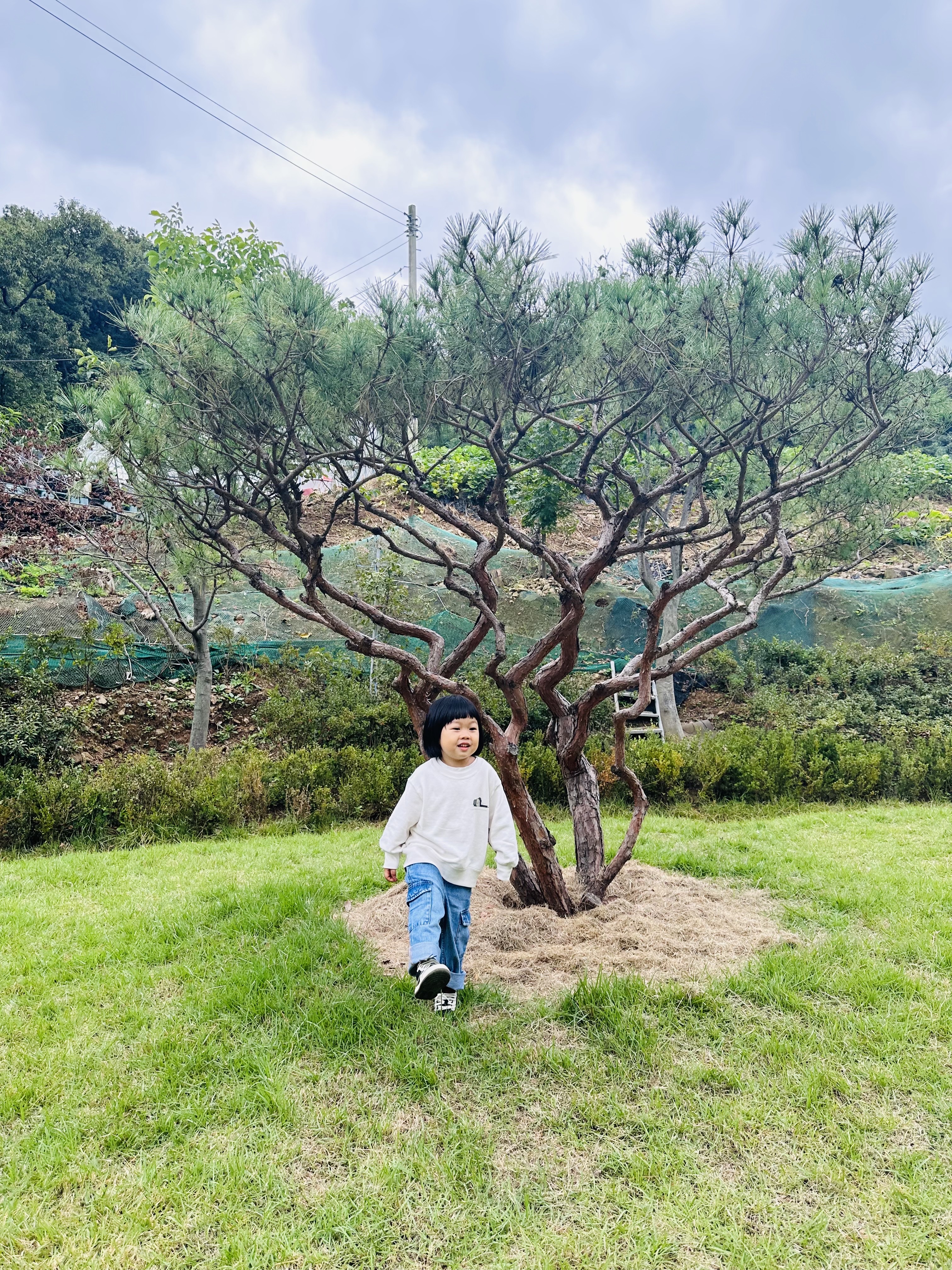 (Kids) Uniqlo UT x Kaws Long Sleeve Sweatshirt Off White, (TD) Jordan 1 x Travis Scott Retro Low OG SP Medium Olive 착용 스타일 - 4