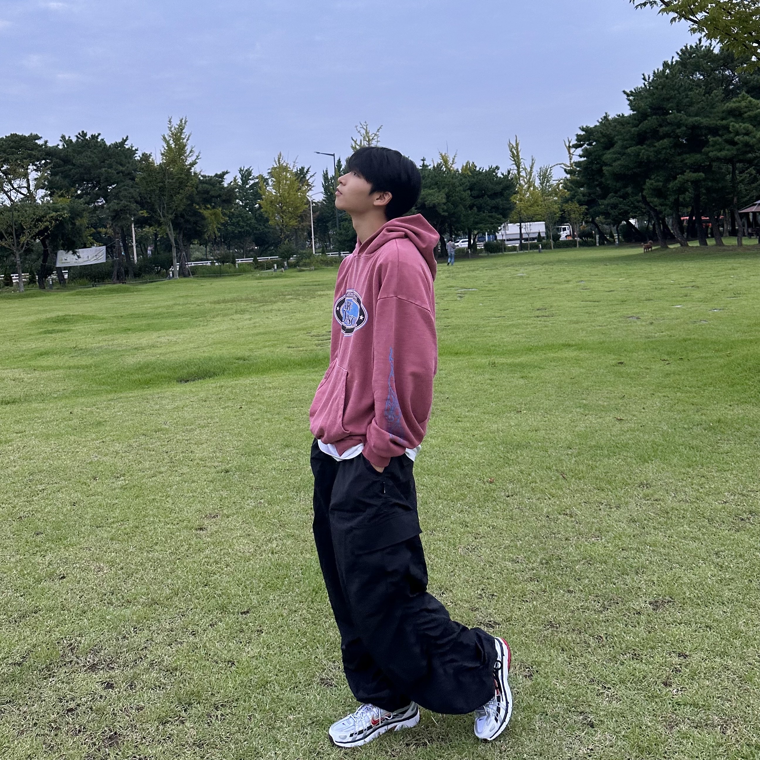 (W) Nike P-6000 Metallic Silver Red 착용 스타일 - 3