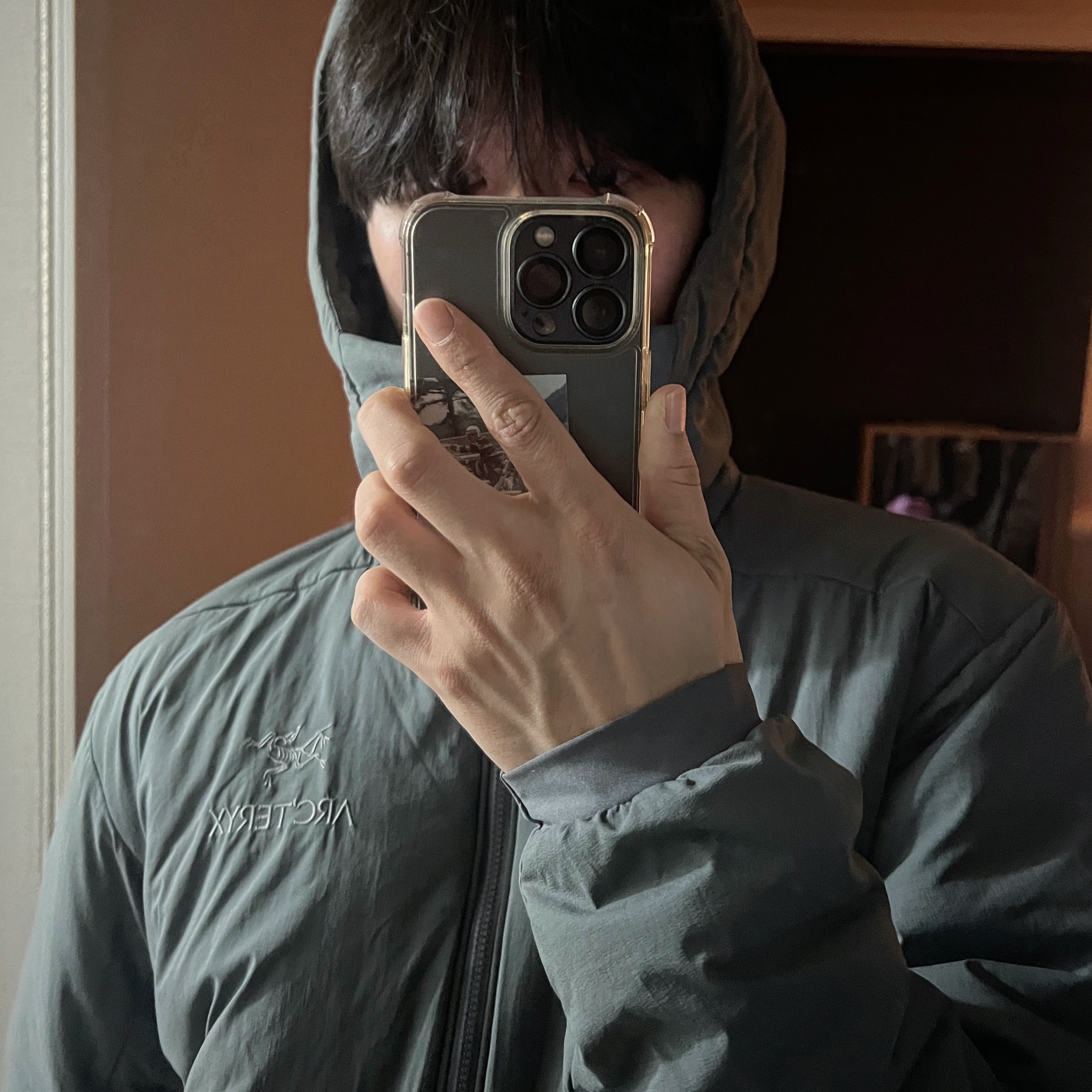 Arc'teryx Atom AR Hoody Microchip 착용 스타일