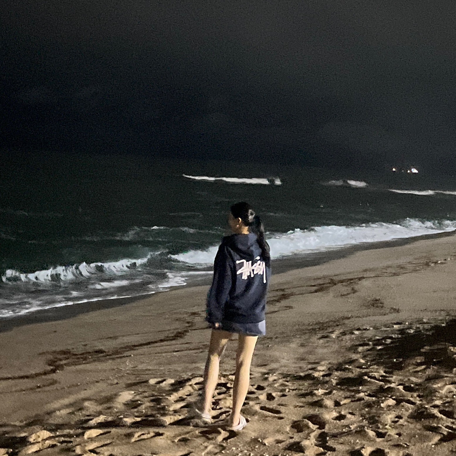 Stussy Basic Stussy Zip Hoodie Navy 2023 착용 스타일 - 2