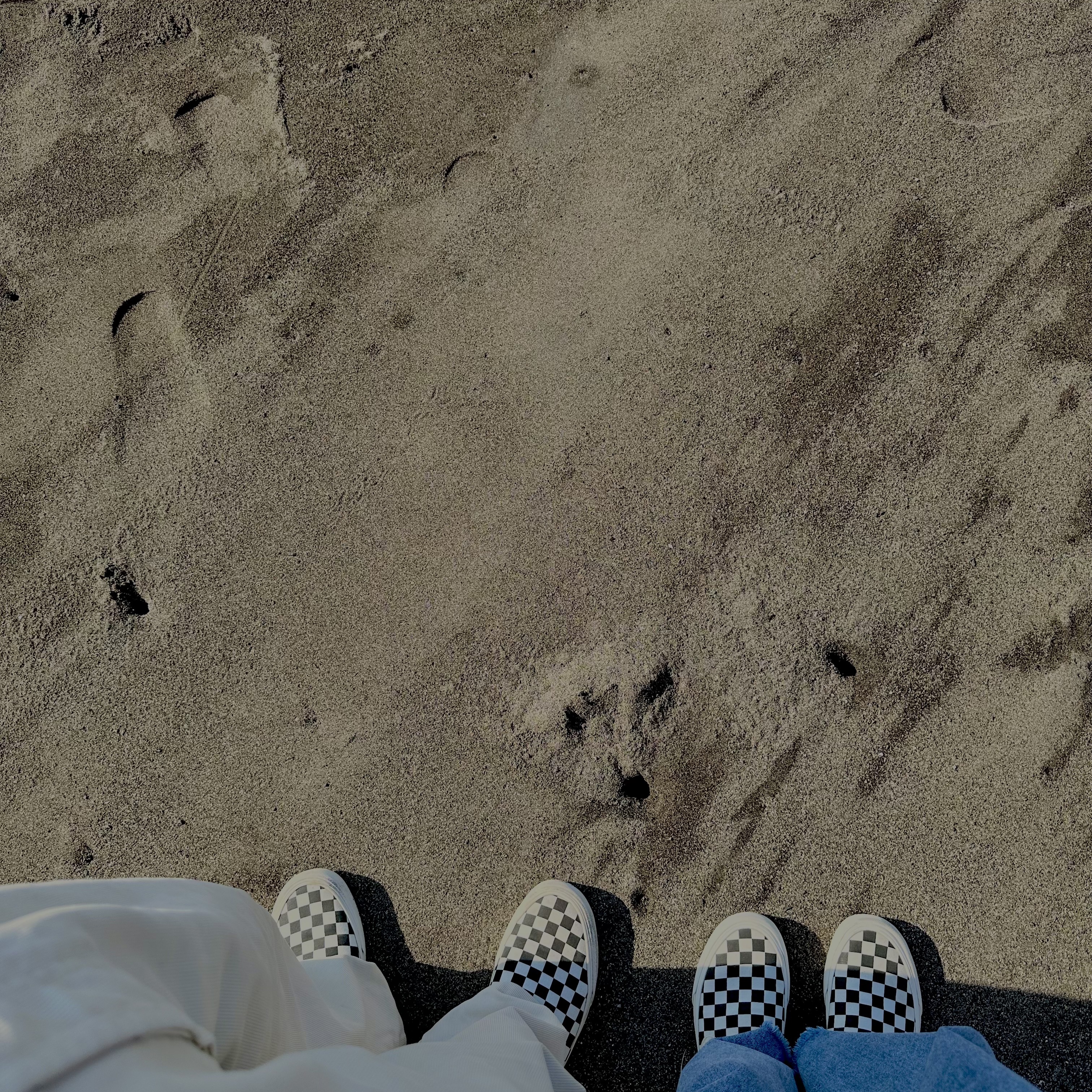 Vans Vault OG Classic Slip-On Checkerboard 착용 스타일 - 1
