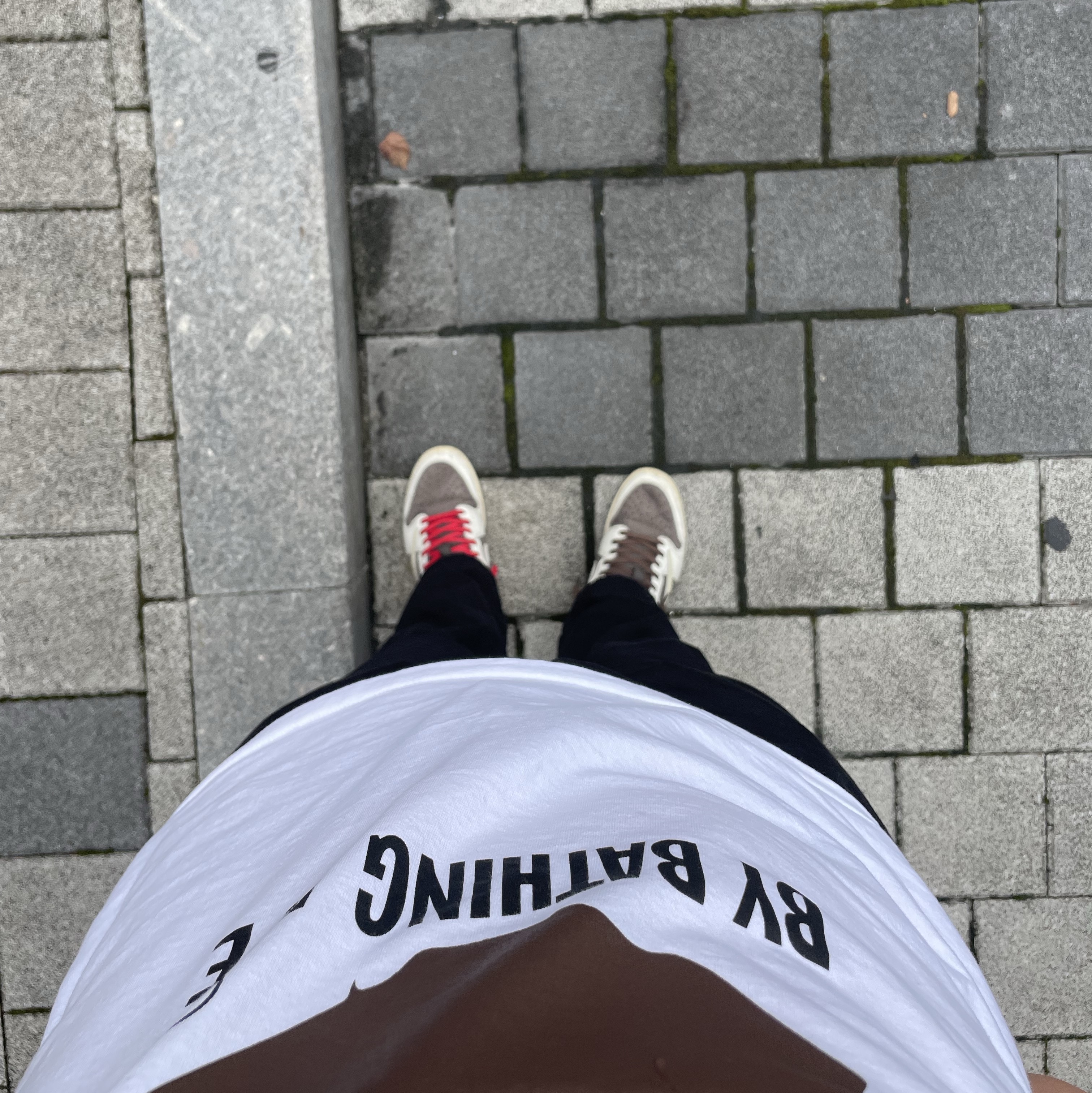 Jordan 1 x Travis Scott Retro Low OG SP Sail and Ridgerock, Palace x Carhartt WIP Michigan Coat Hamilton Brown Tobacco - 23FW 착용 스타일 - 2