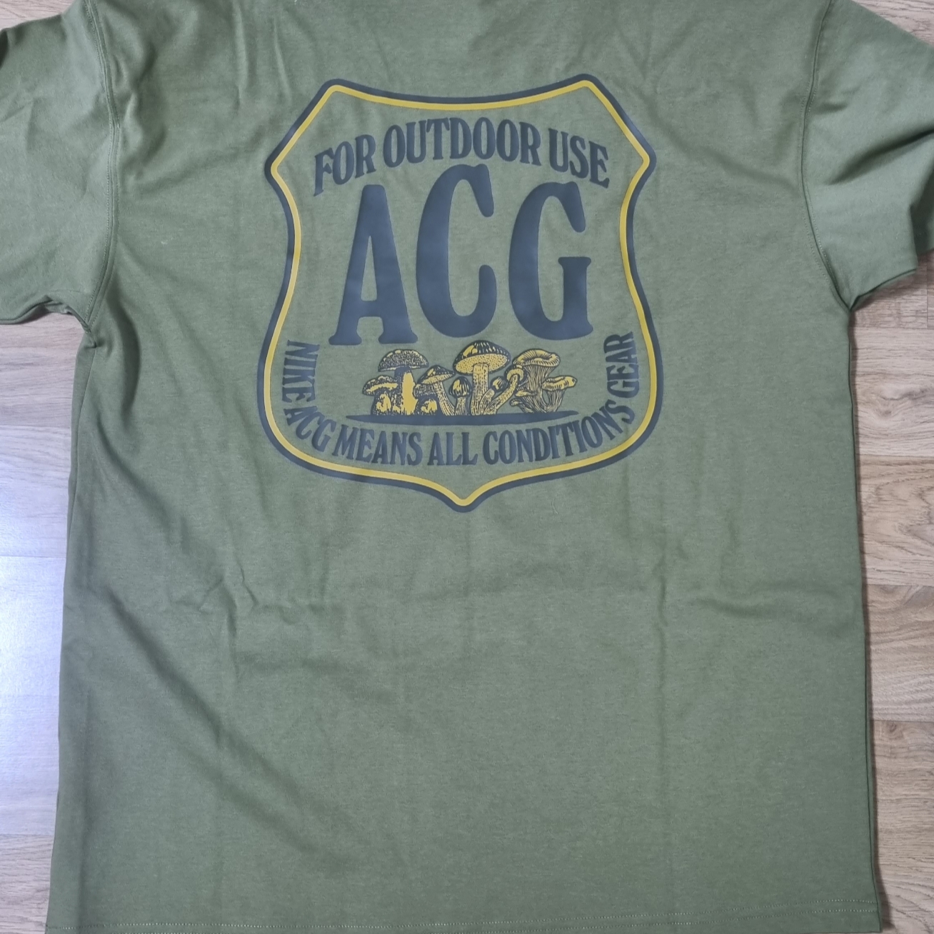 Nike NRG ACG Outdoor T-shirt Pilgrim - US/EU 착용 스타일 - 2