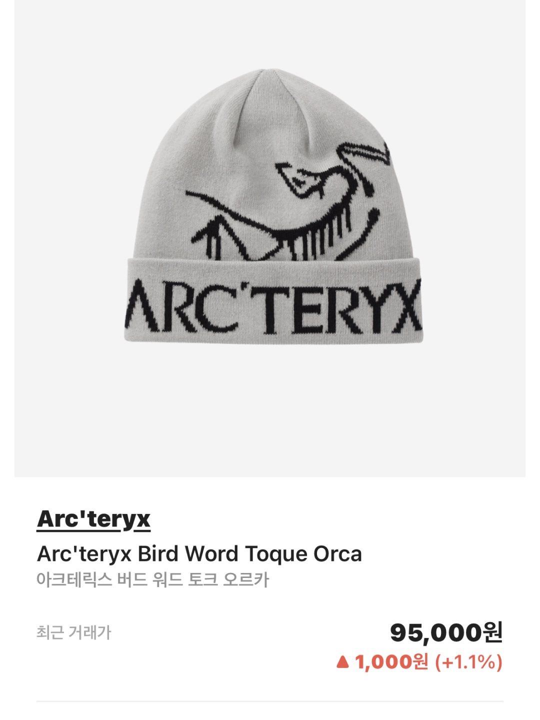Arc'teryx Bird Word Toque Orca, Nike ACG Storm-Fit ADV Chain of Craters Jacket Faded Spruce Black - Asia 착용 스타일 - 5