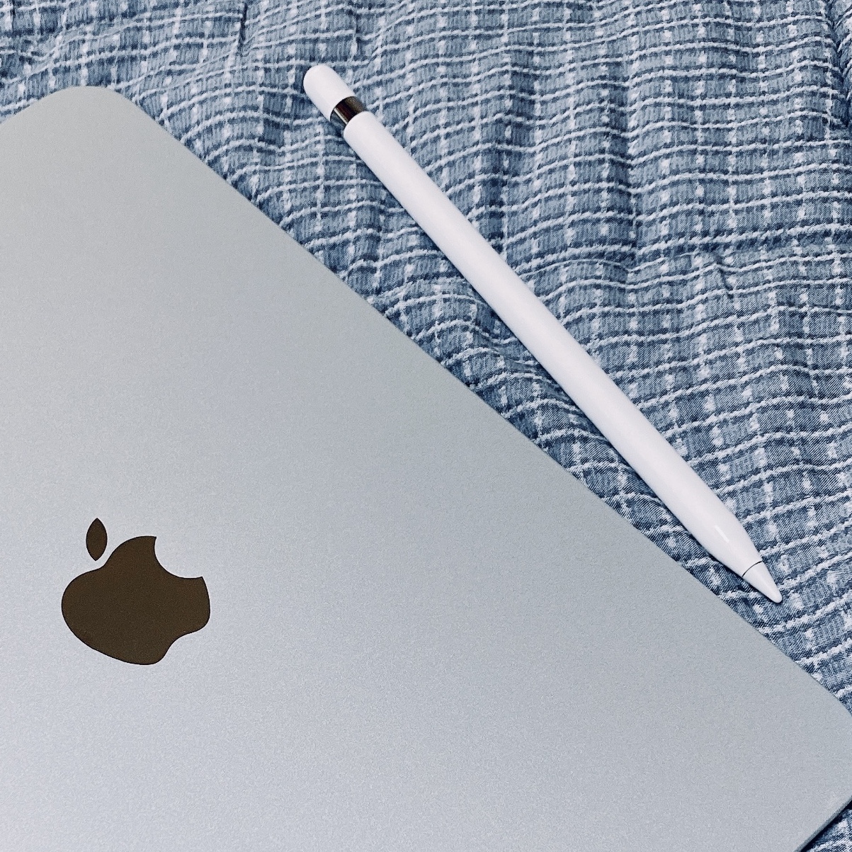 Apple Pencil 1st Gen with USB-C Adapter 착용 스타일