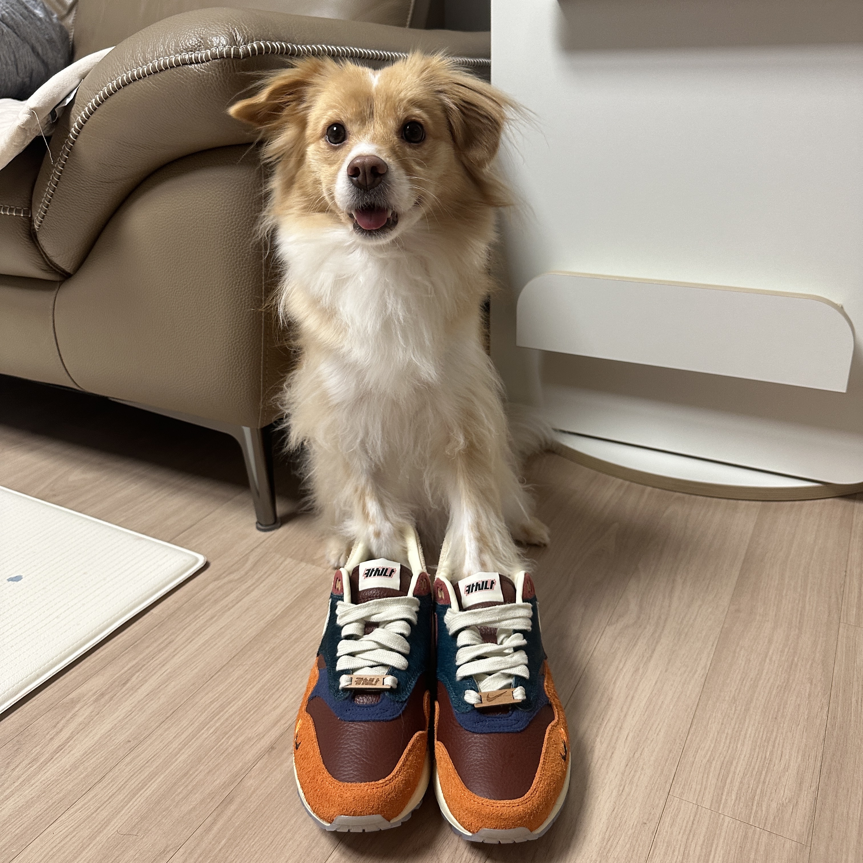 Nike x Kasina Air Max 1 SP Won-Ang Orange 착용 스타일