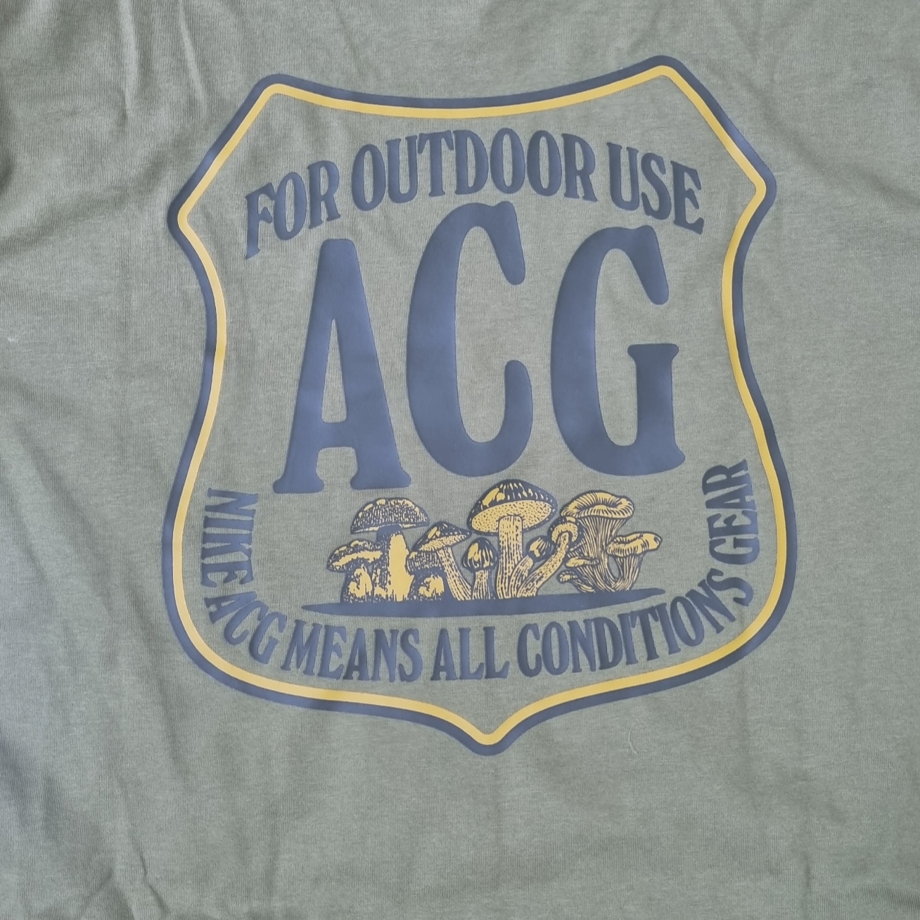Nike NRG ACG Outdoor T-shirt Pilgrim - US/EU 착용 스타일 - 1