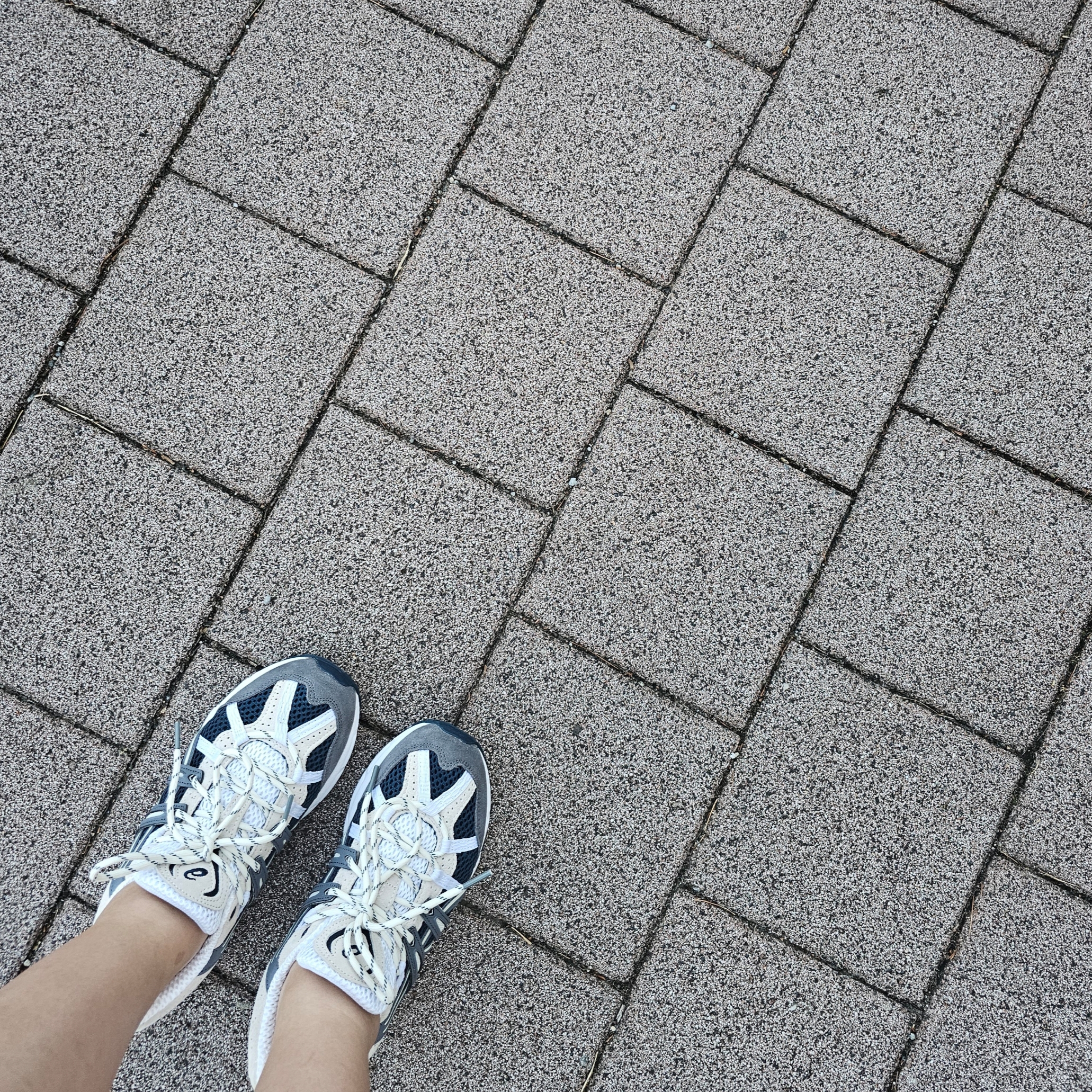 Asics Gel-Sonoma 15-50 French Blue 착용 스타일