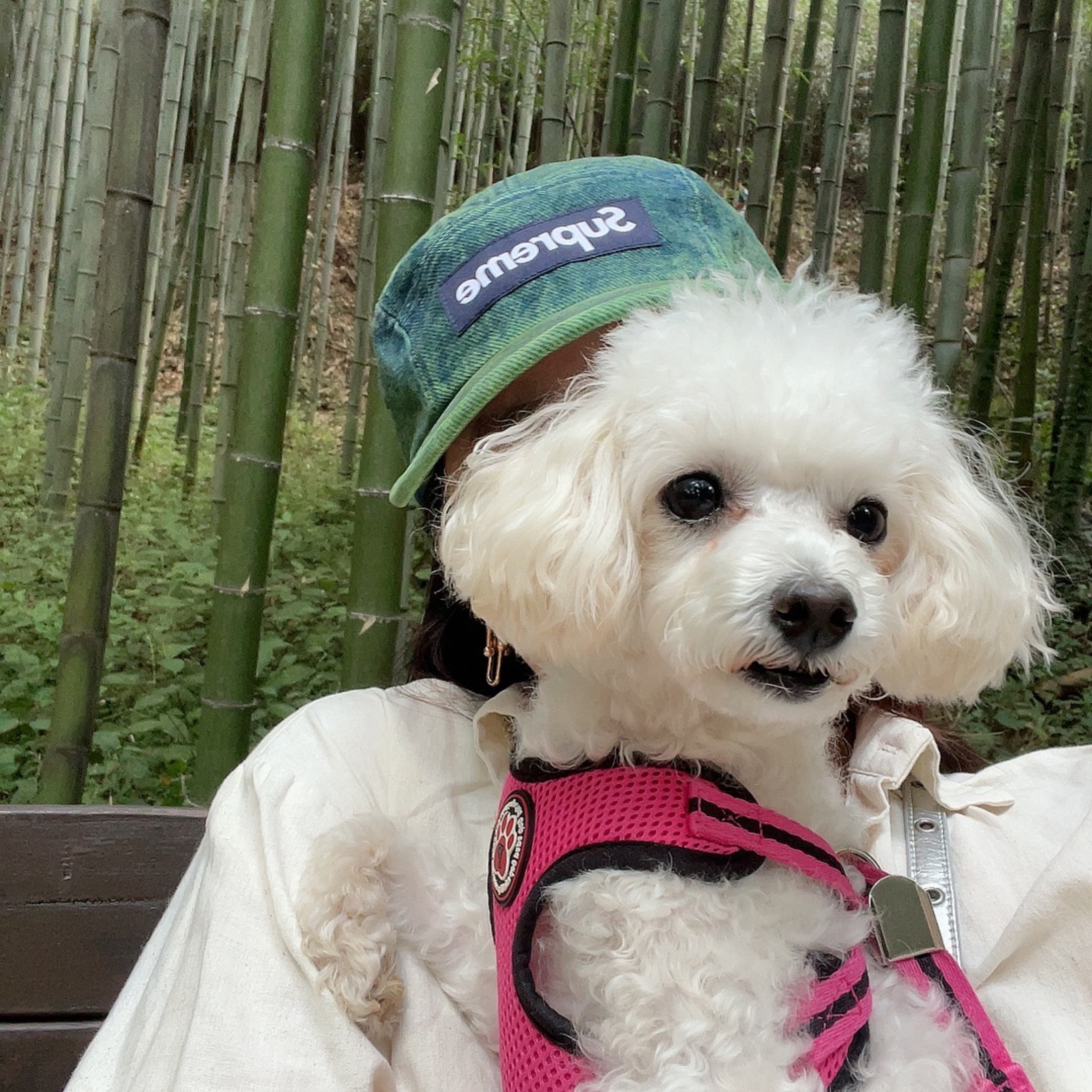 Supreme Denim Camp Cap Overdyed Green - 23SS 착용 스타일