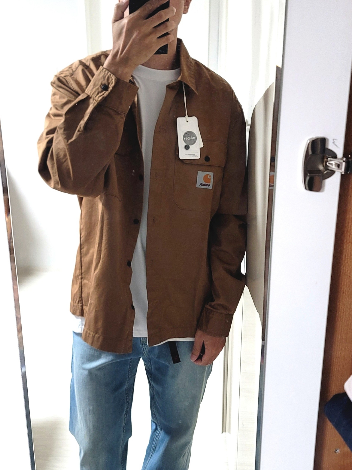 Palace x Carhartt WIP Longsleeve Master Shirt Hamilton Brown - 23FW 착용 스타일 - 2