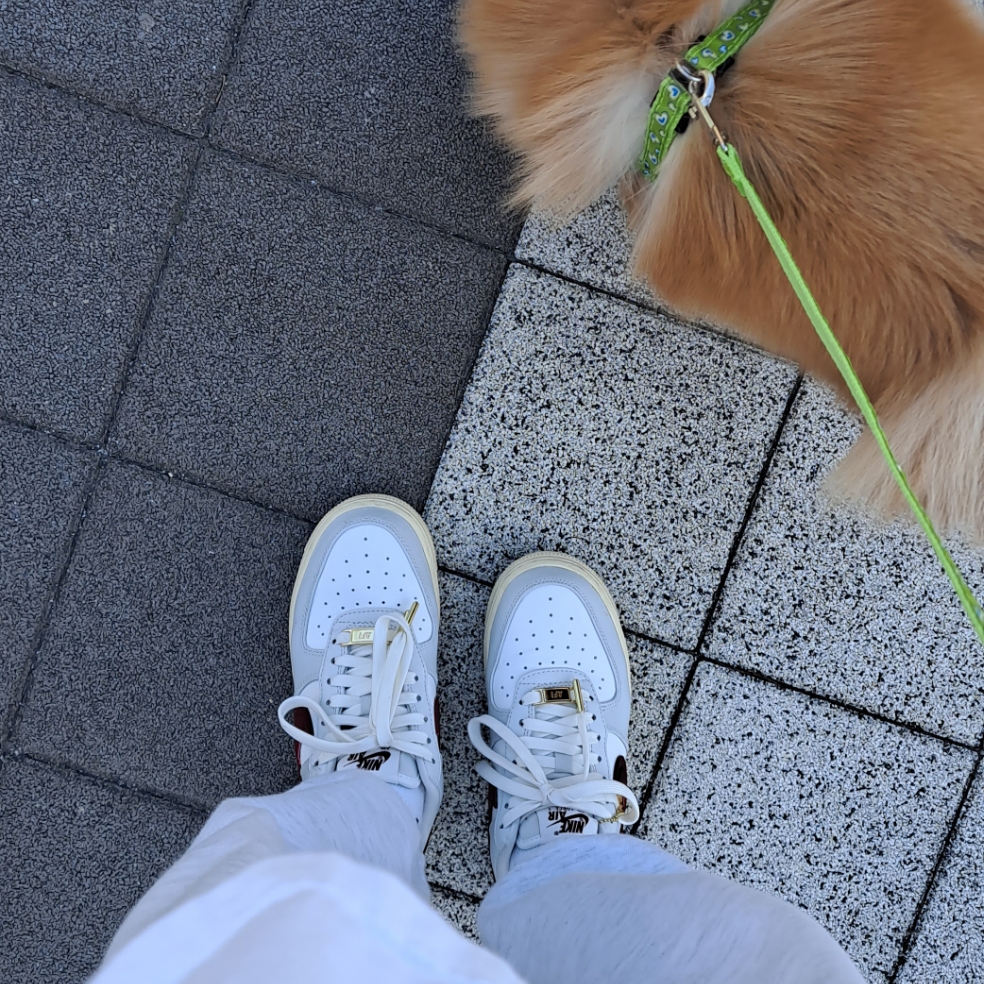 (W) Nike Air Force 1 '07 SE Pandant 착용 스타일 - 2