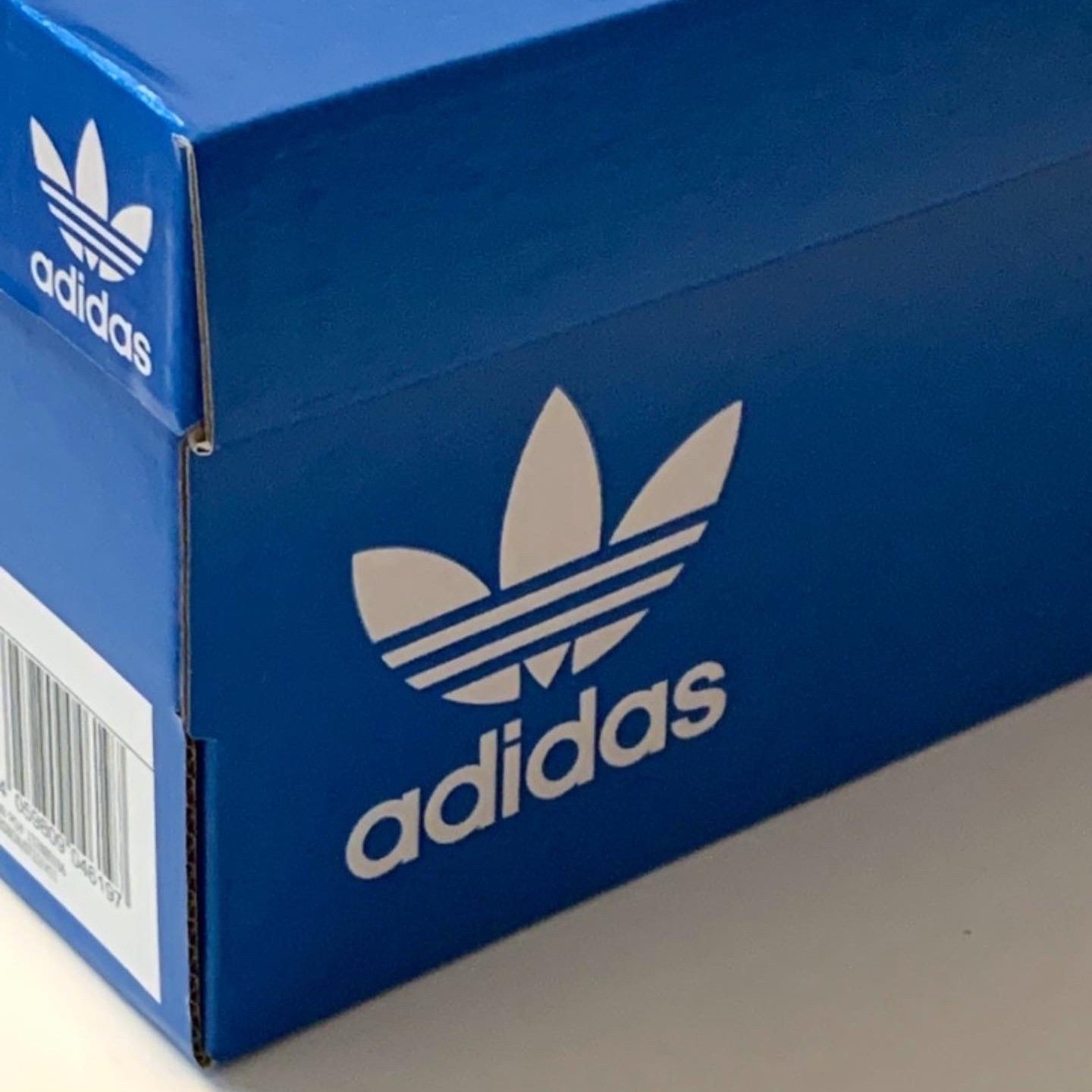 공룡님의 스타일 - 2