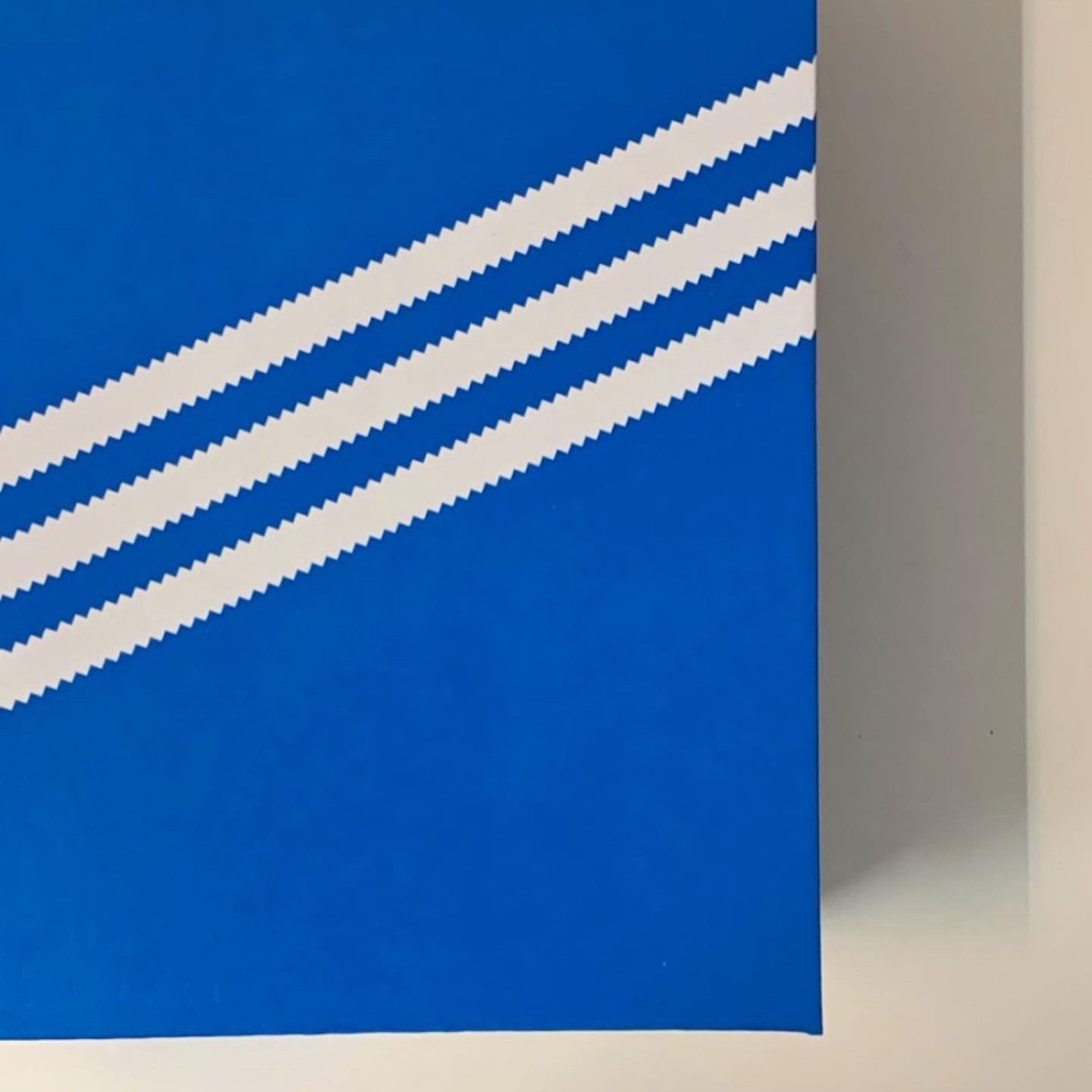 공룡님의 스타일 - 3