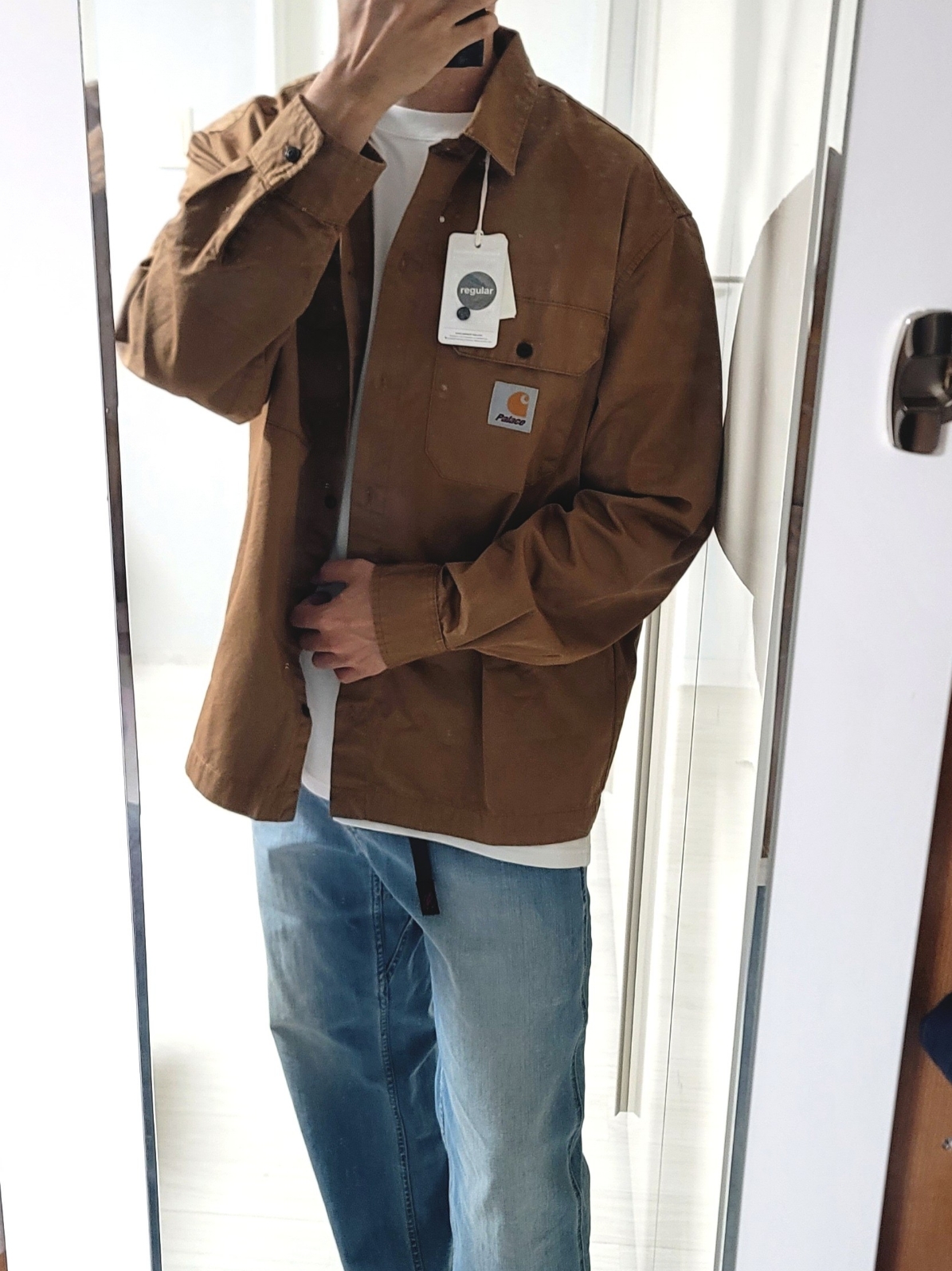 Palace x Carhartt WIP Longsleeve Master Shirt Hamilton Brown - 23FW 착용 스타일 - 1