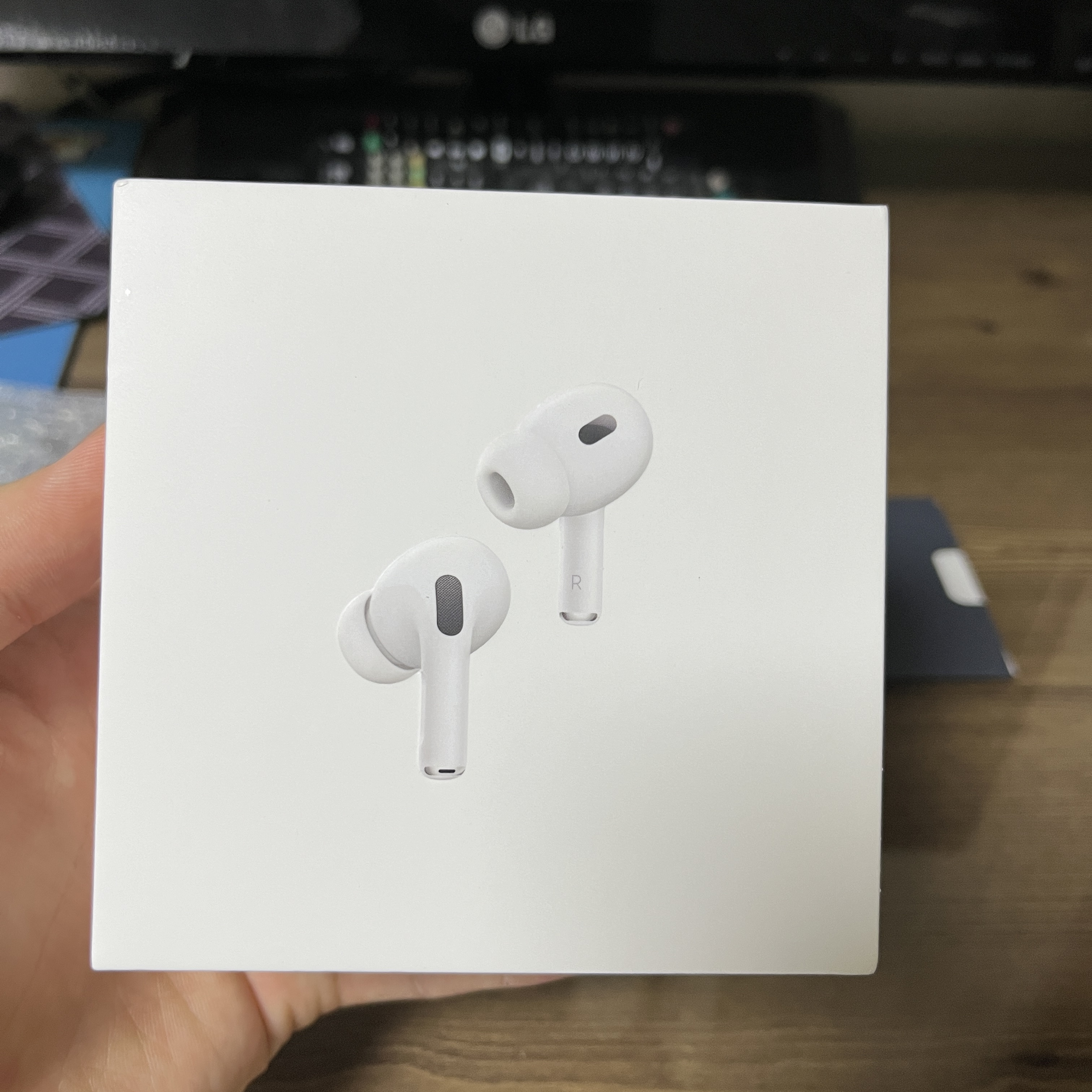 Apple AirPods Pro 2nd Gen (Korean Ver.) 착용 스타일