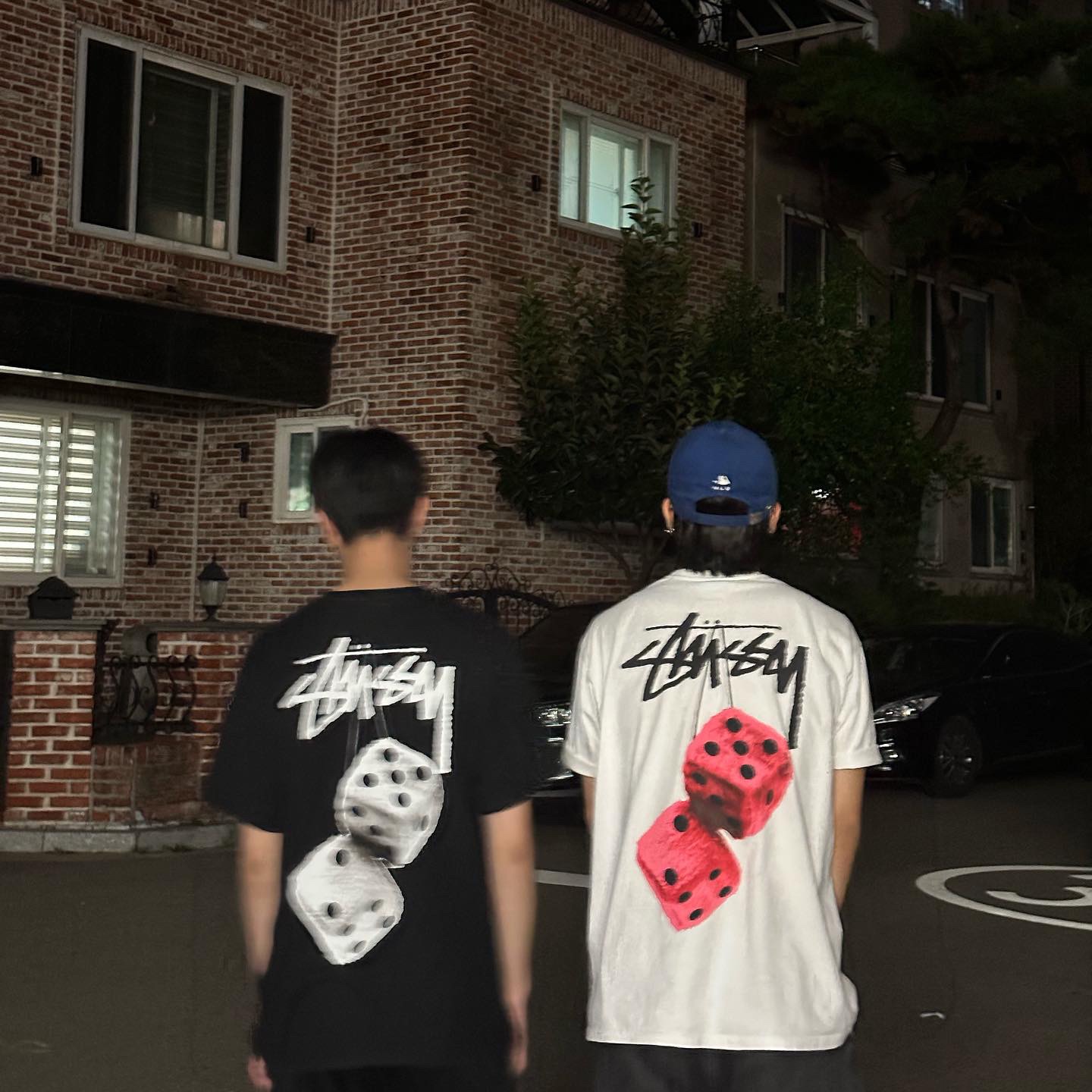 Stussy Fuzzy Dice T-Shirt Black, Stussy Fuzzy Dice T-Shirt White 착용 스타일 - 1