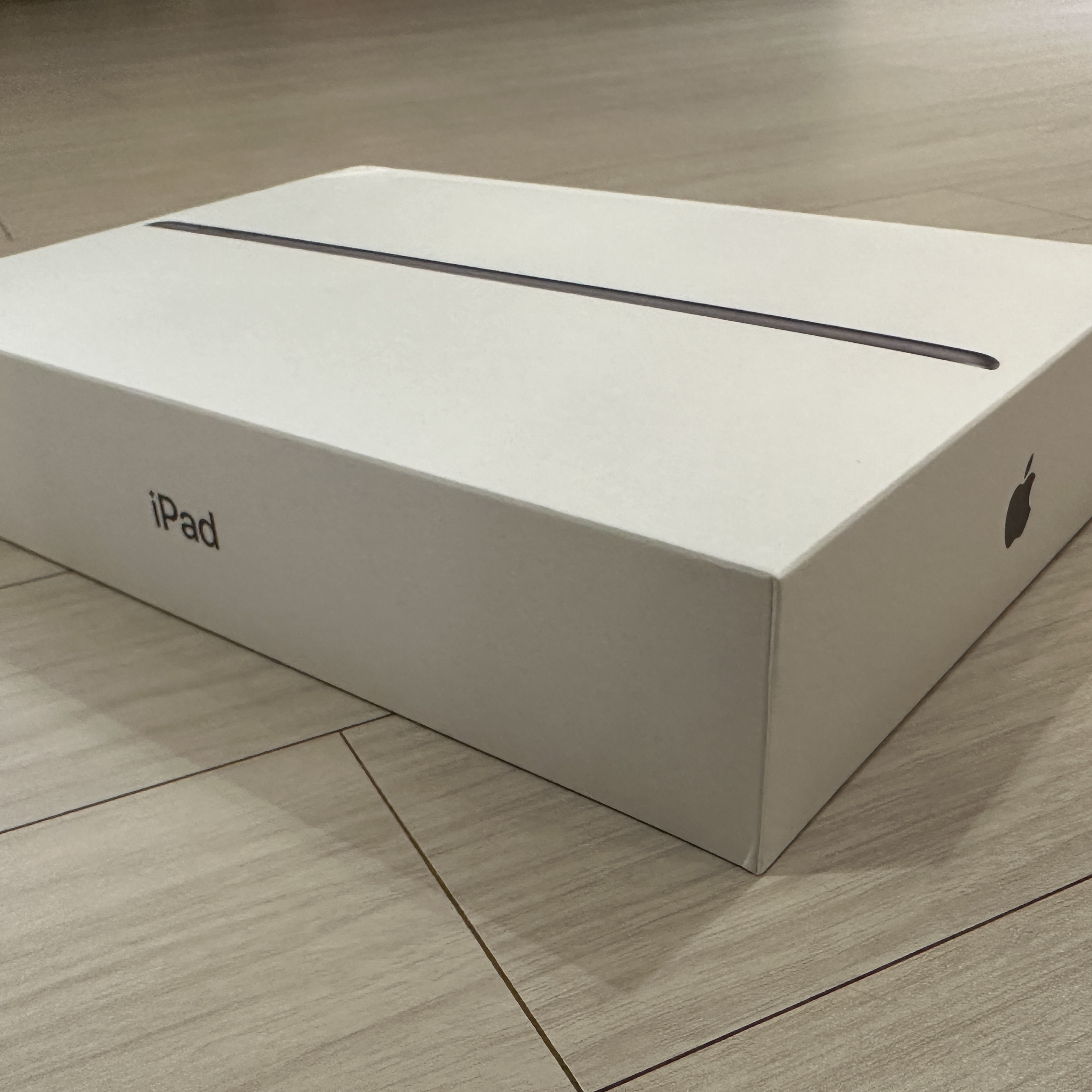 Apple iPad 9th Gen Wifi 64GB Space Gray (Korean Ver.) 착용 스타일