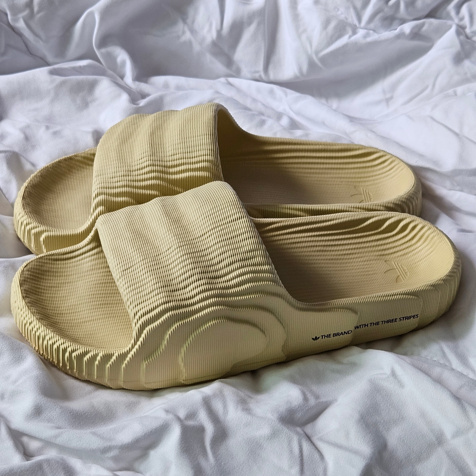 Adidas Adilette 22 Desert Sand 착용 스타일