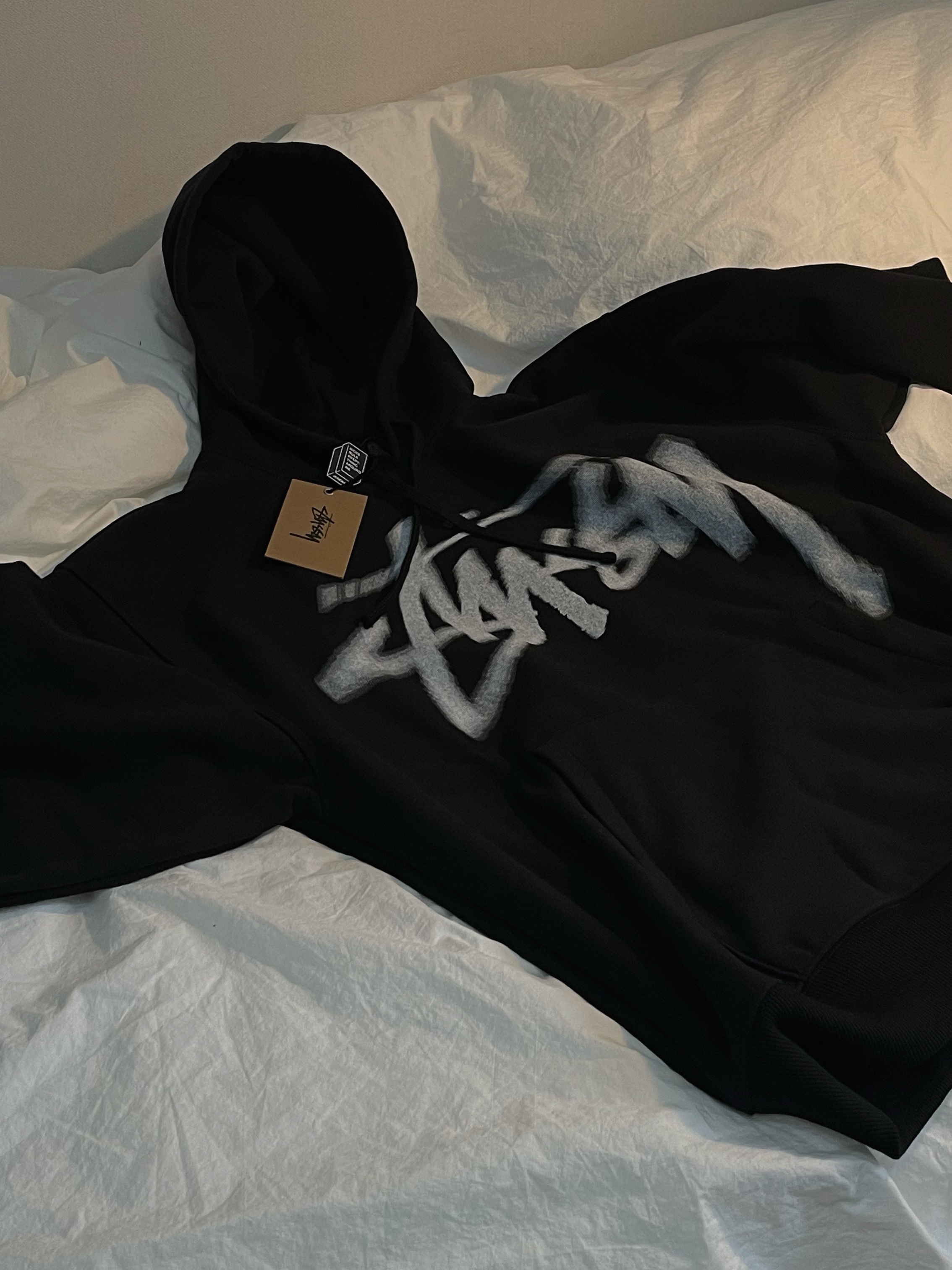 Stussy Dizzy Stock Hoodie Black 착용 스타일