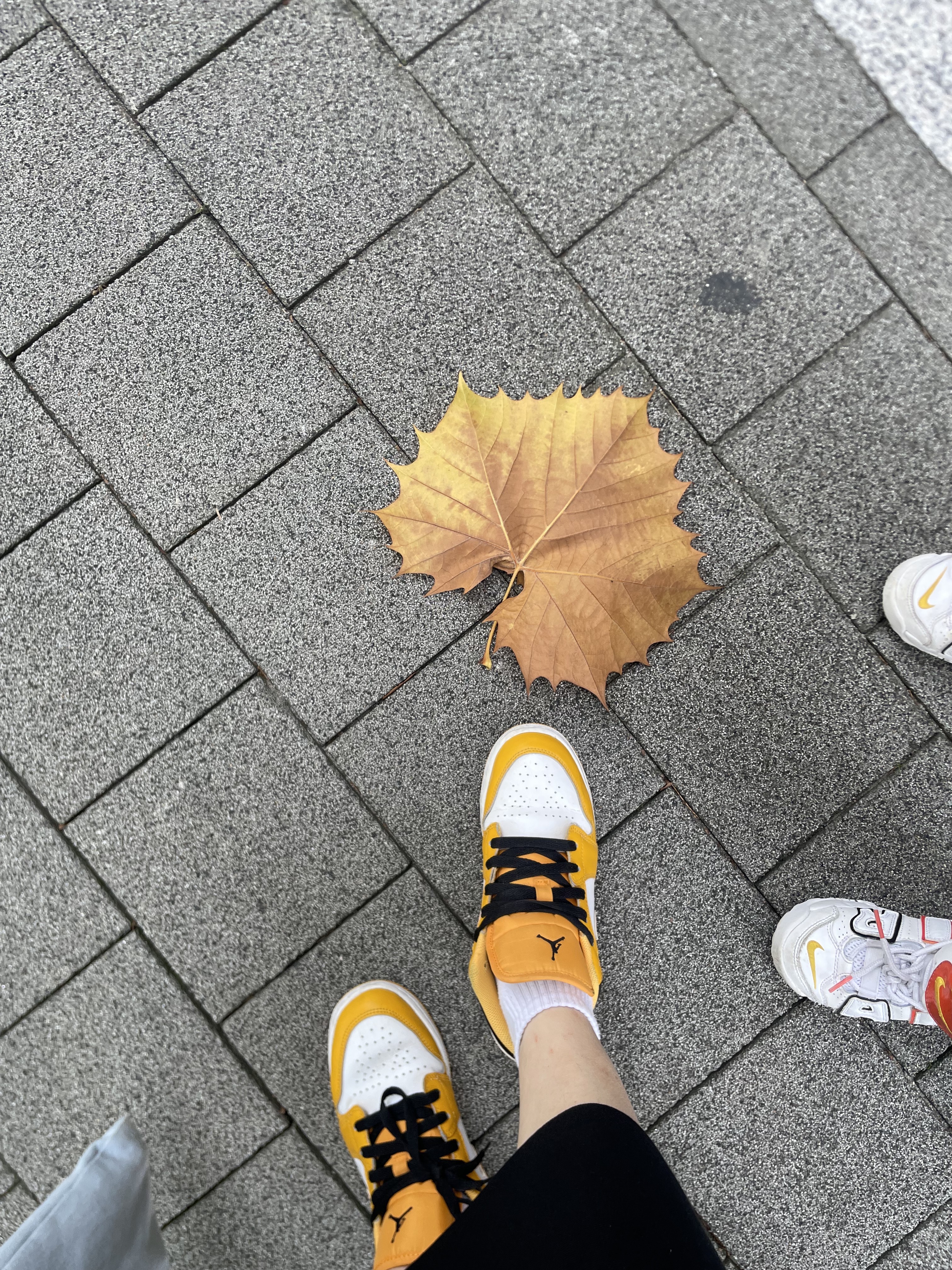 Jordan 1 Low Taxi 착용 스타일