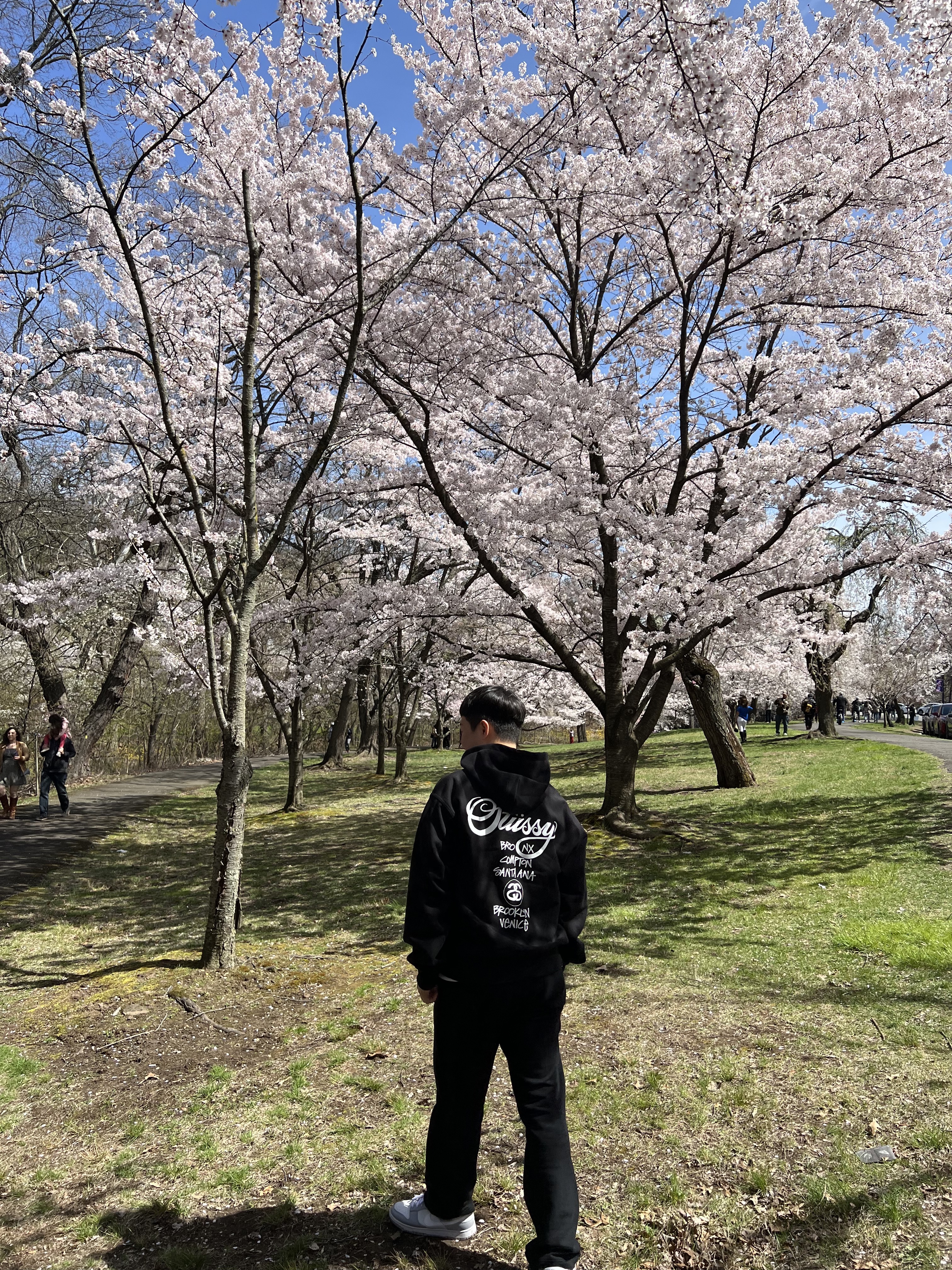 Stussy World Tour Zip Hoodie Black 2022, Nike Dunk Low Retro Wolf Grey 착용 스타일