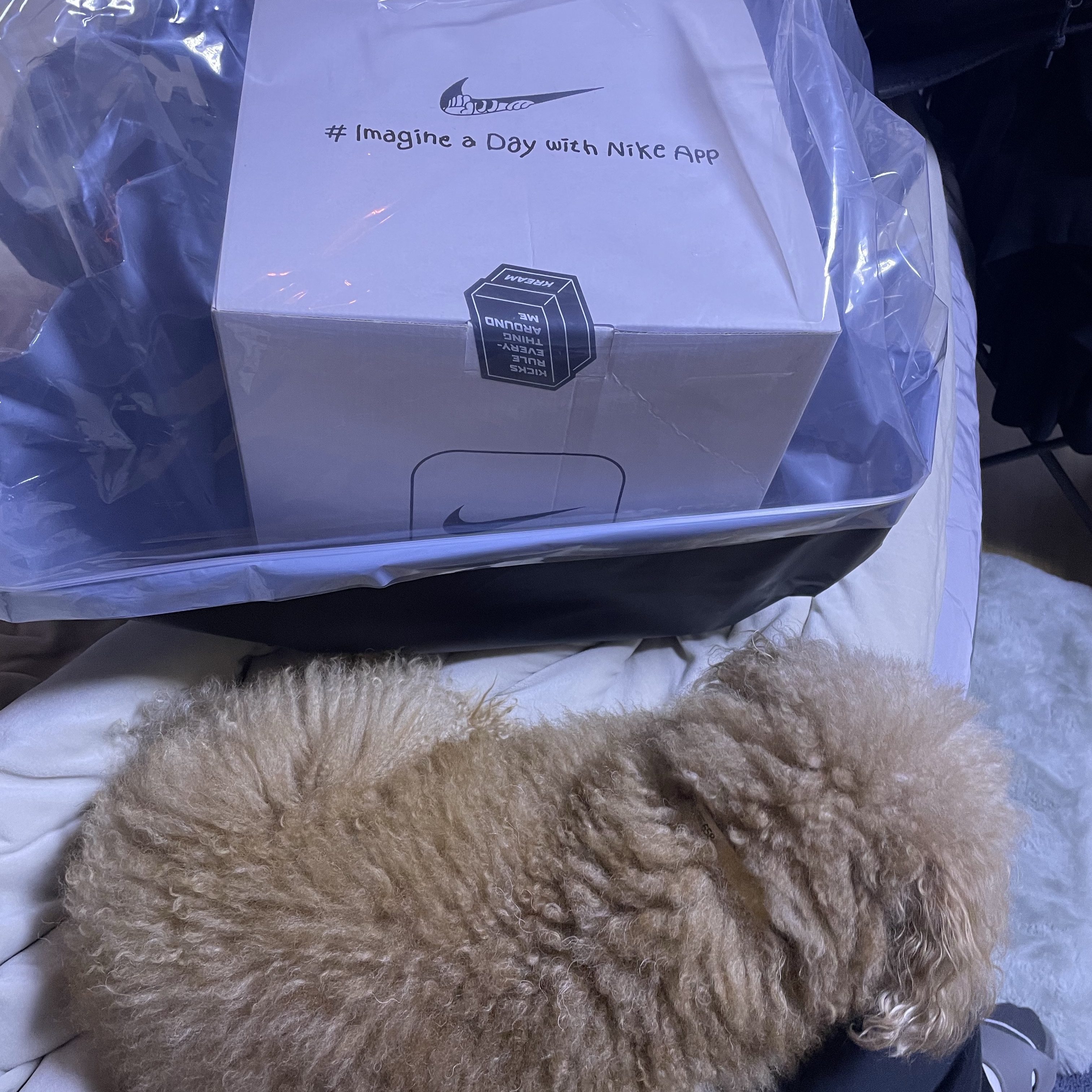 Nike A Day With Nike App Challenge Gift Box (1000 Limited) 착용 스타일 - 1